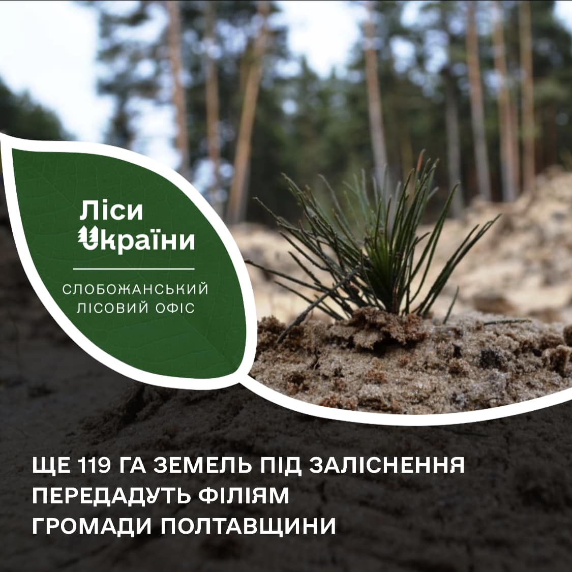 Ще 119 га земель під заліснення передадуть філіям громади Полтавщини