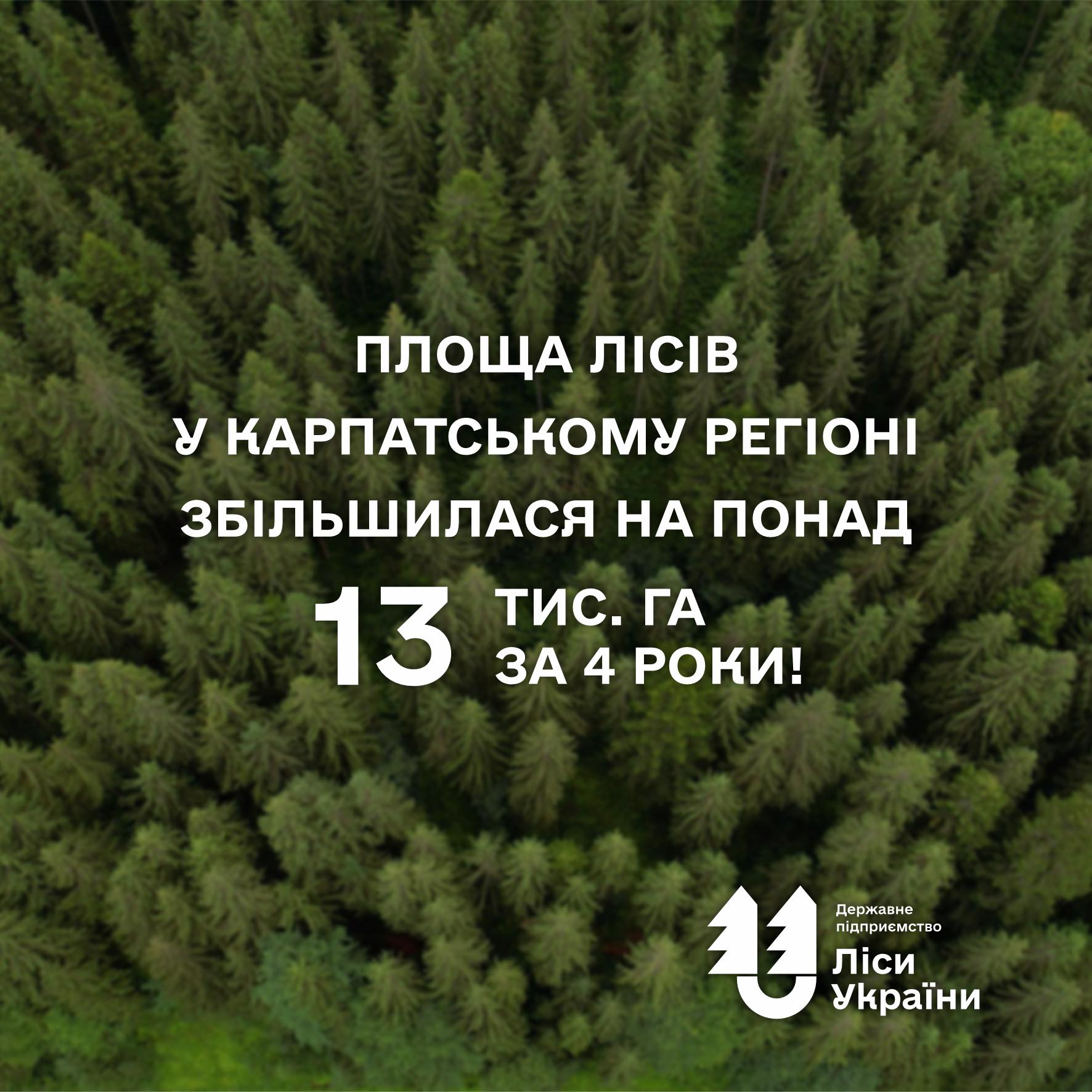 Площа лісів у Карпатському регіоні збільшилась на понад 13 тис га за 4 роки❗️