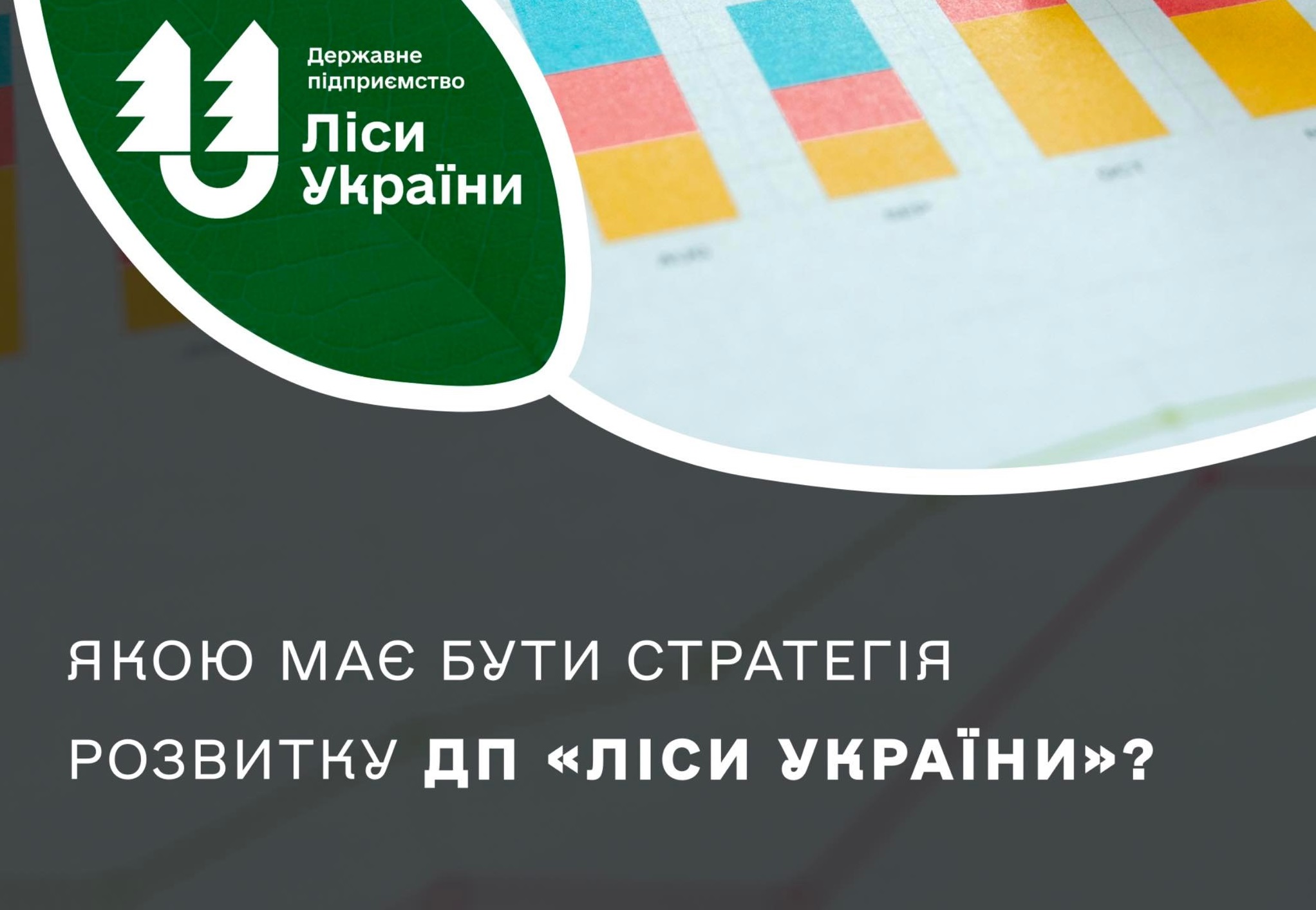 Якою має бути стратегія розвитку ДП «Ліси України»?