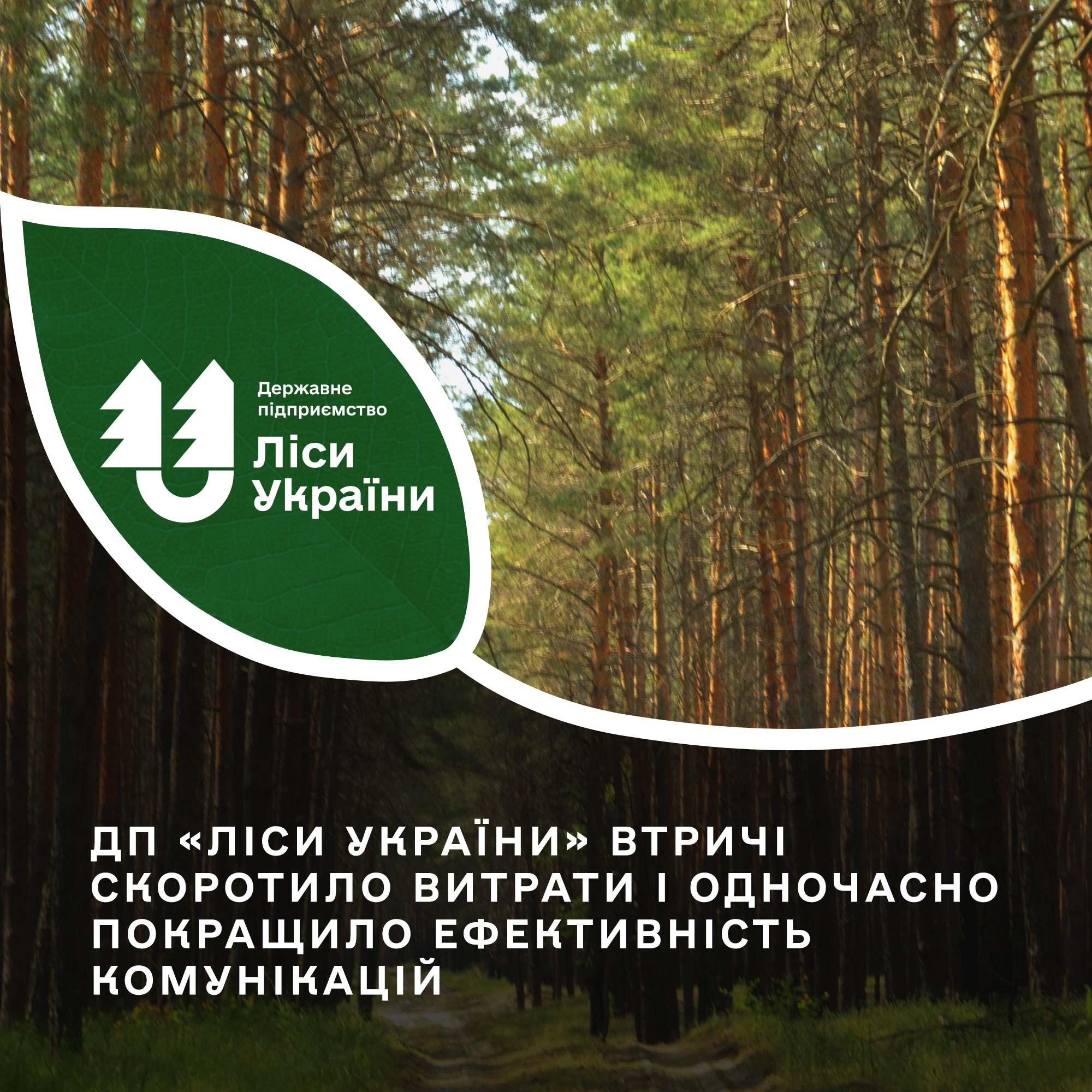 ДП «Ліси України» цього року втричі скоротило витрати і одночасно значно покращило ефективність комунікацій