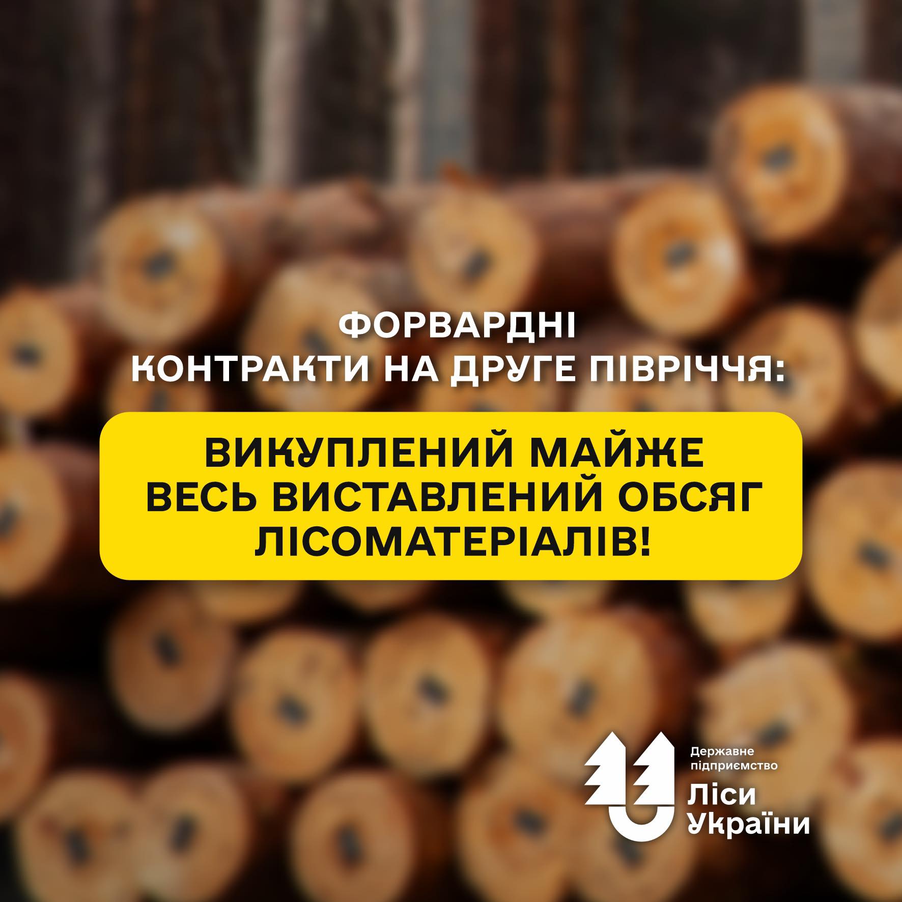 Forward сontracts for the second half of the year: nearly all timber volumes sold!