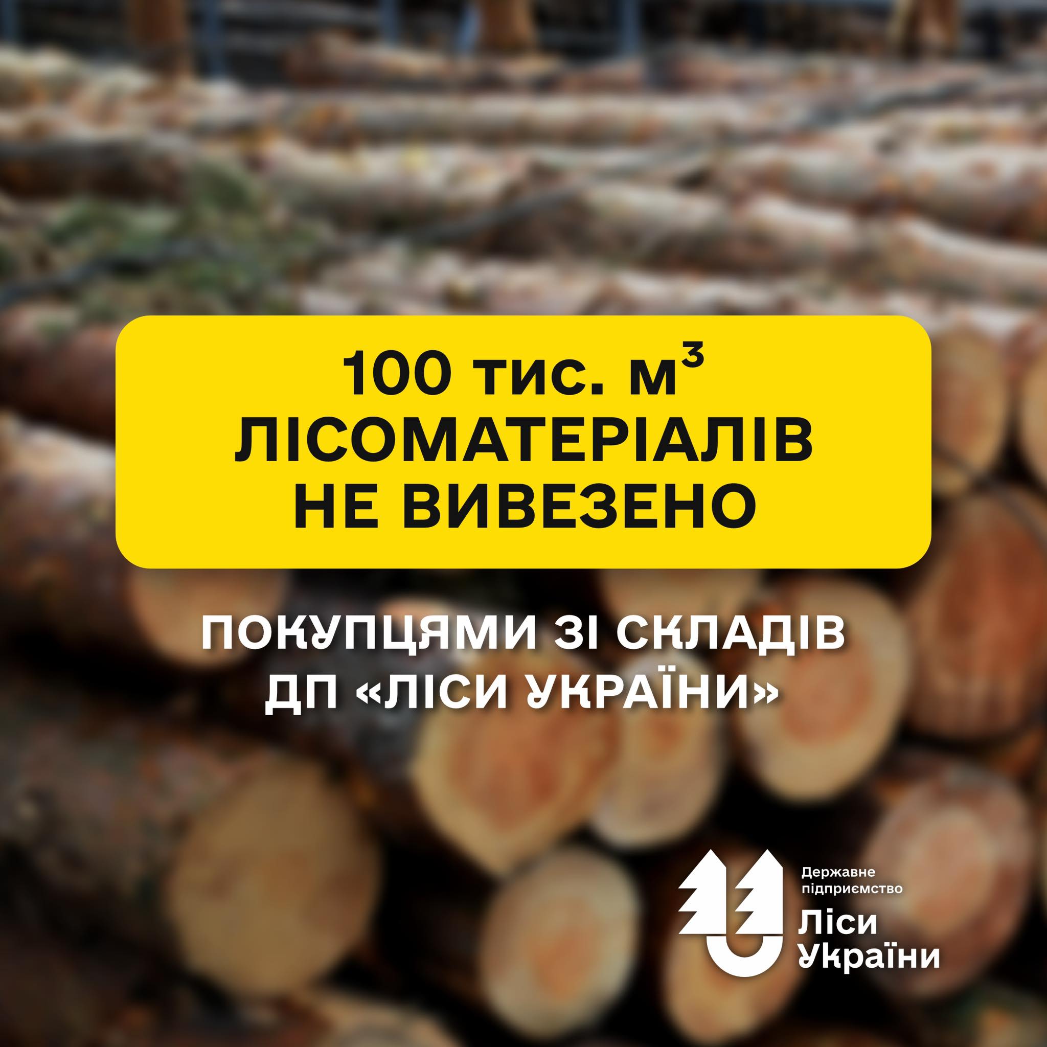 Contracted but not collected: 100,000 m³ of roundwood awaits shipment at SFE “Forests of Ukraine” storage sites