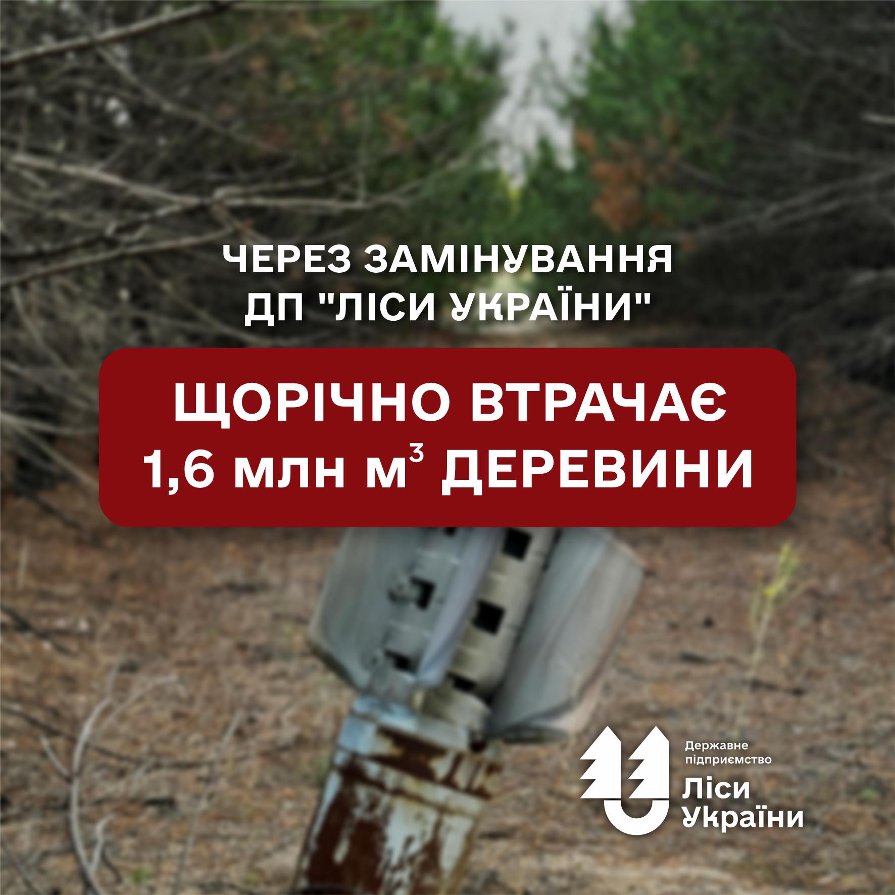 Due to mined and inaccessible areas, SFE “Forests of Ukraine” loses 1.6 million m³ of timber annually worth over UAH 5 billion!