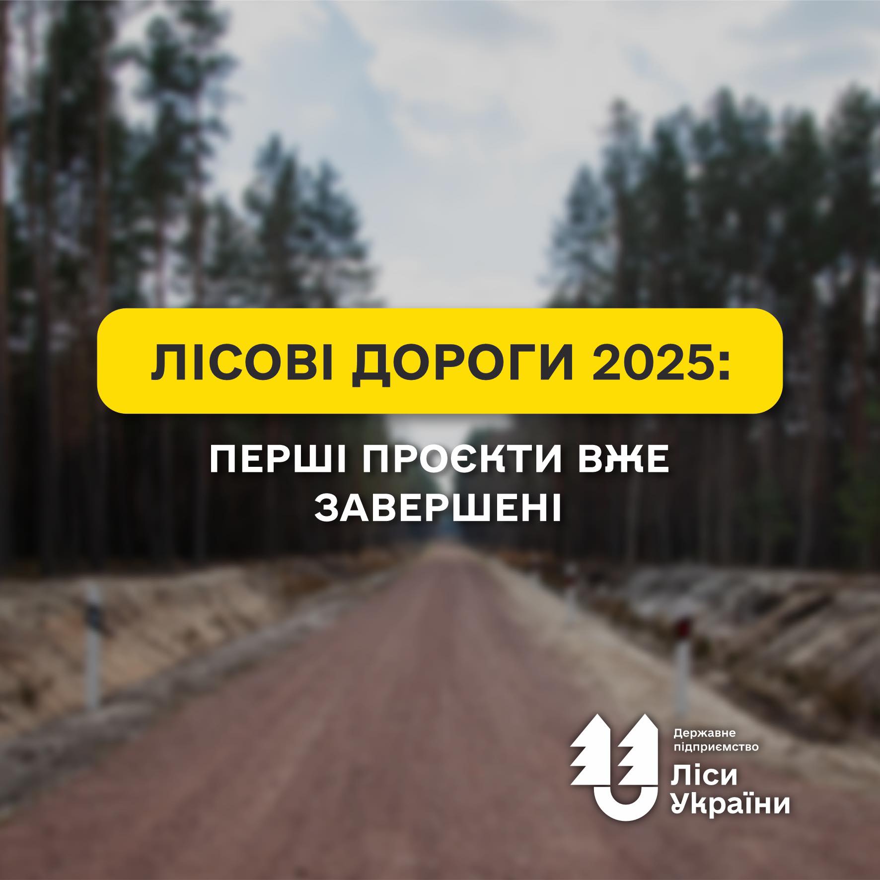 Forest Roads 2025: the first projects are already completed