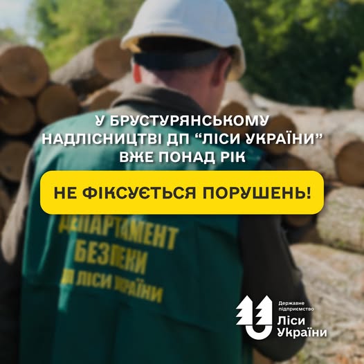 У Брустурянському надлісництві ДП “Ліси України” вже понад рік не фіксується порушень!