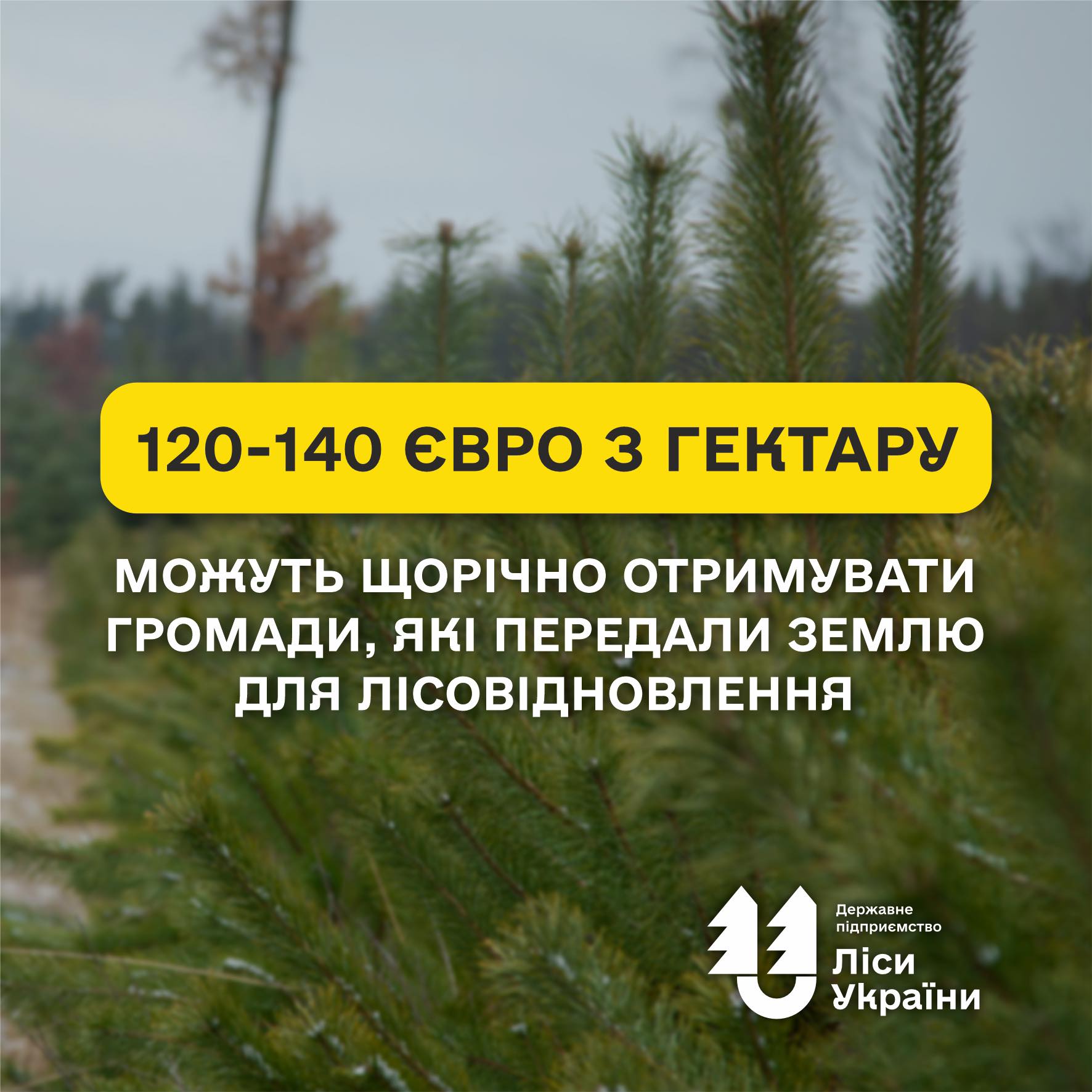 €120–140 per hectare per year for land designated for afforestation!