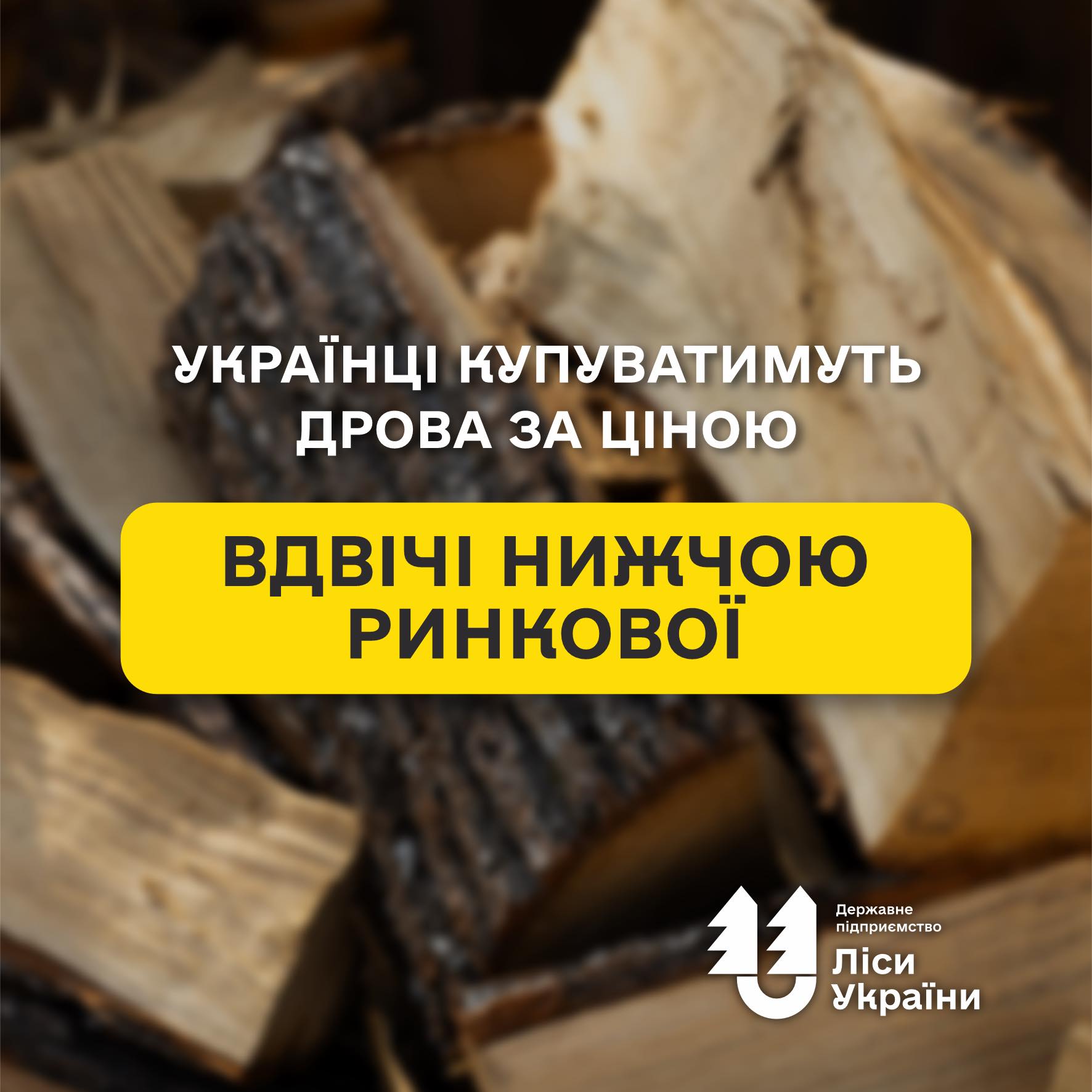 Ukrainians will buy firewood at a price half that of the market rate!