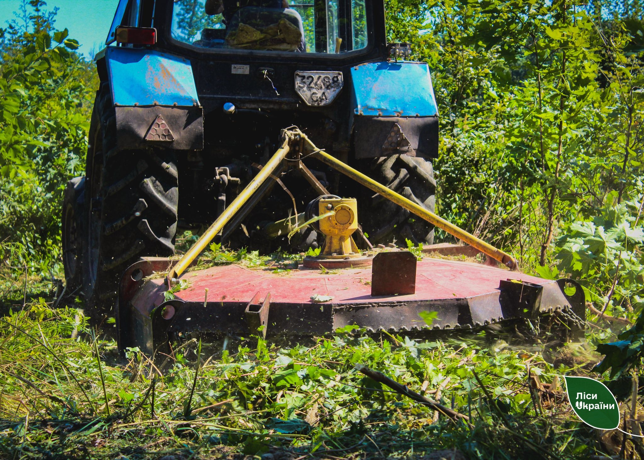 SFE “Forests of Ukraine” achieved 117% of its Plan for forest-crop tending and natural regeneration