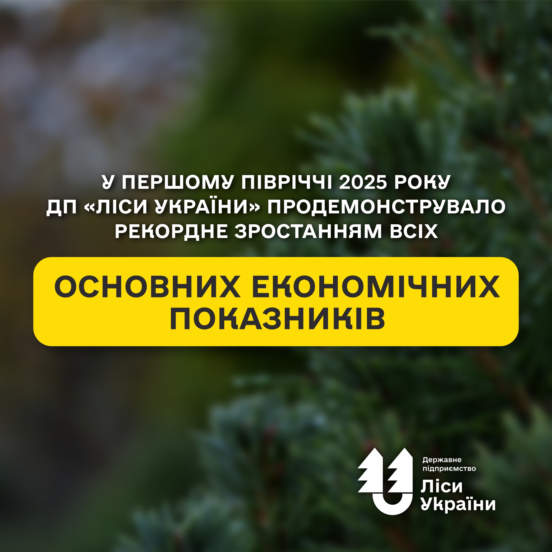 У першому півріччі 2025 року ДП «Ліси України» продемонструвало рекордне зростання всіх основних економічних показників!
