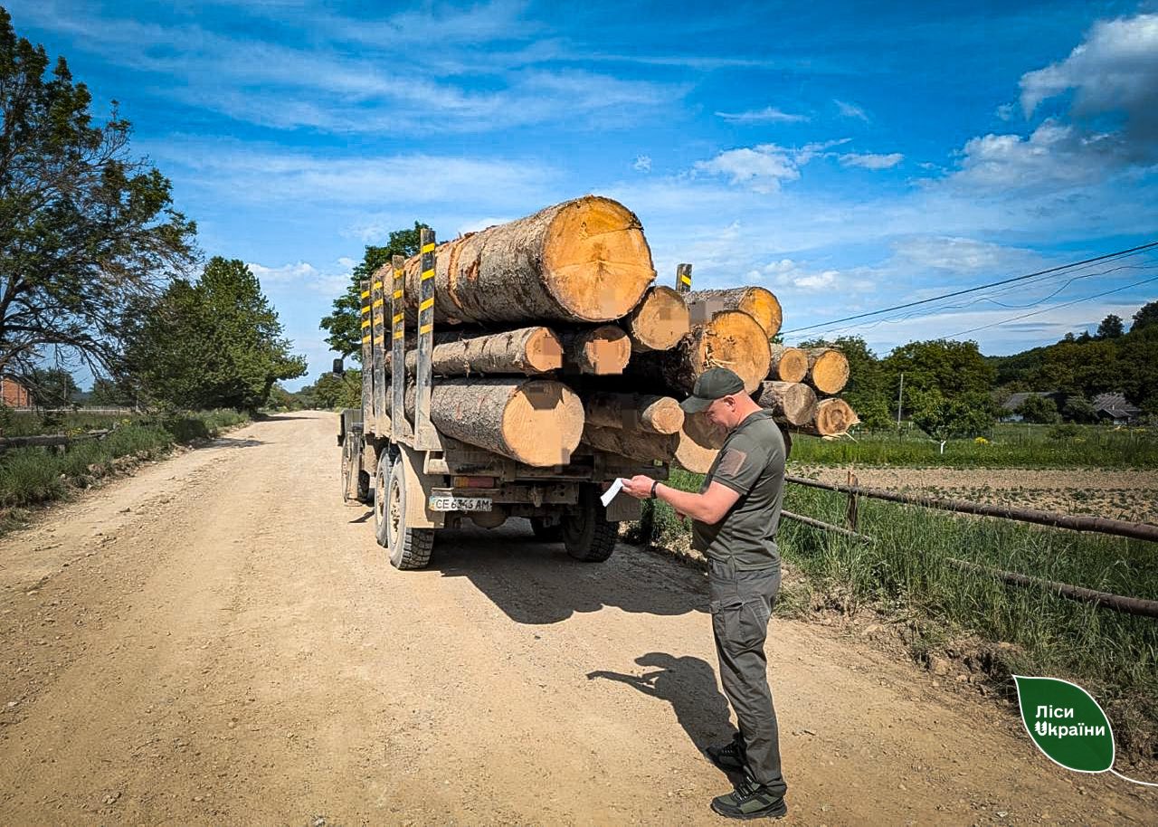 In Bukovina, forest rangers caught illegal loggers red-handed!