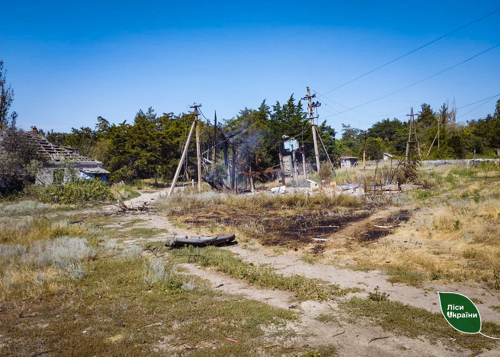The «Skhidnyi Forest Office» branch begins partial evacuation of Pokrovske forestry management subunit