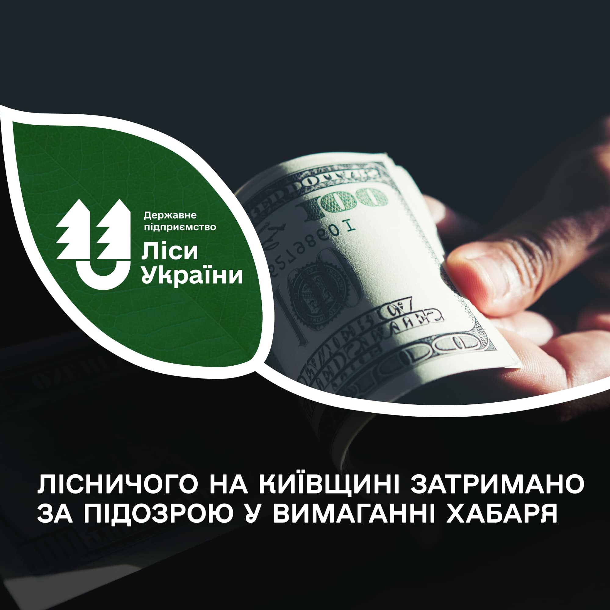 Працівника лісництва на Житомирщині підозрюють у отриманні хабара