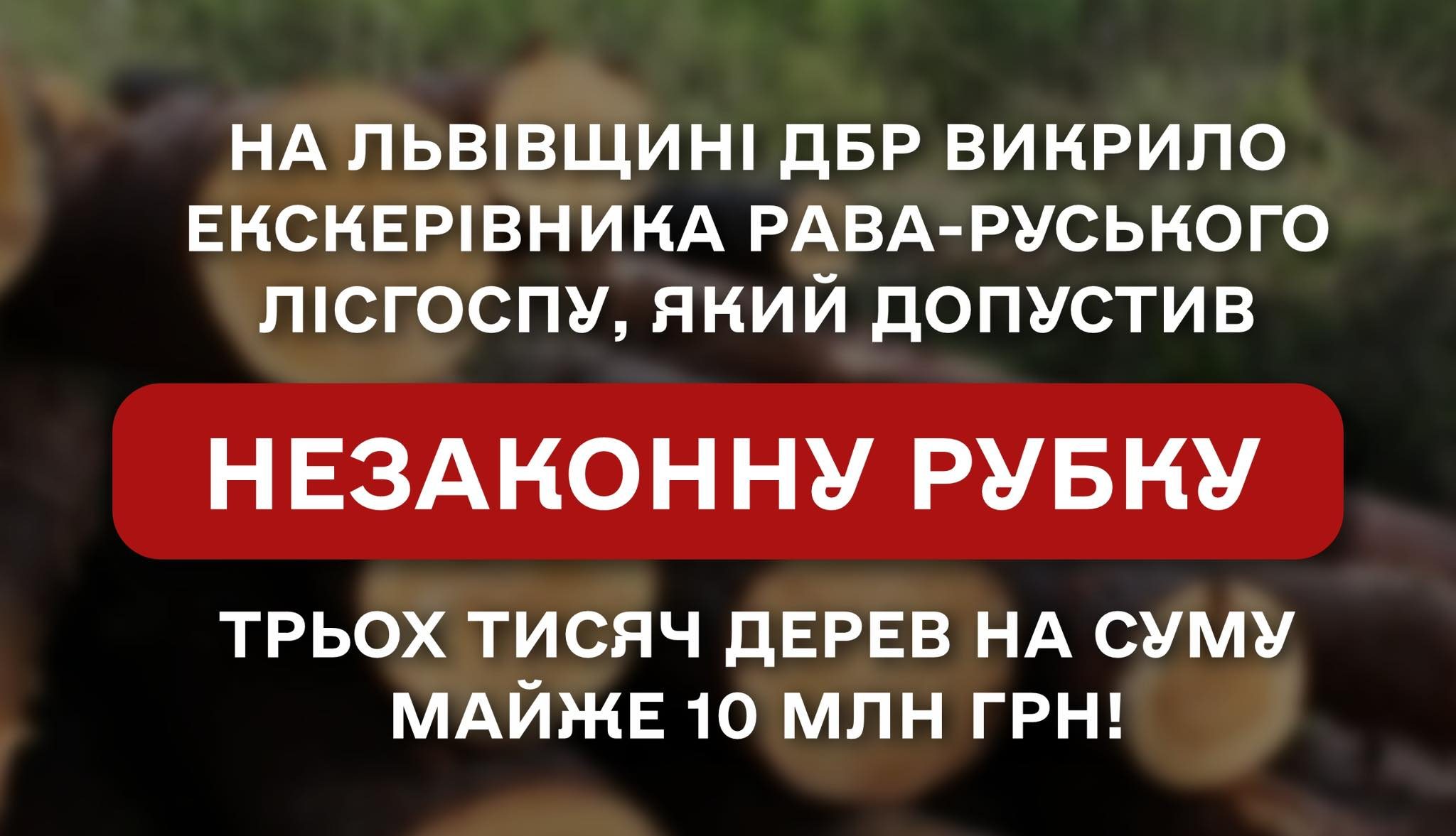На Львівщині ДБР викрило екскерівника Рава-Руського лісгоспу, який допустив незаконну рубку трьох тисяч дерев на суму майже 10 млн грн!
