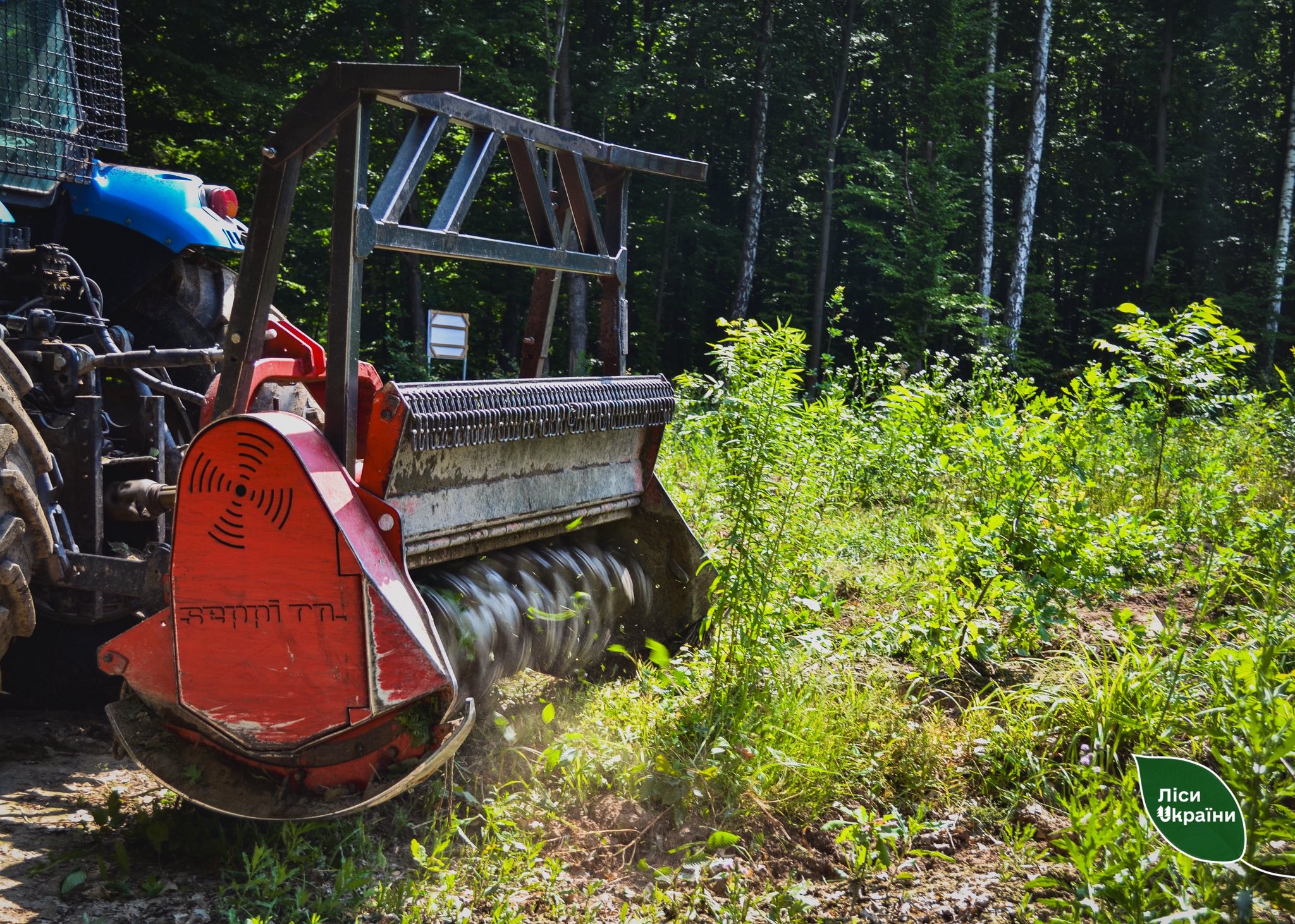 SFE “Forests of Ukraine” Preparing for the Autumn Reforestation Campaign