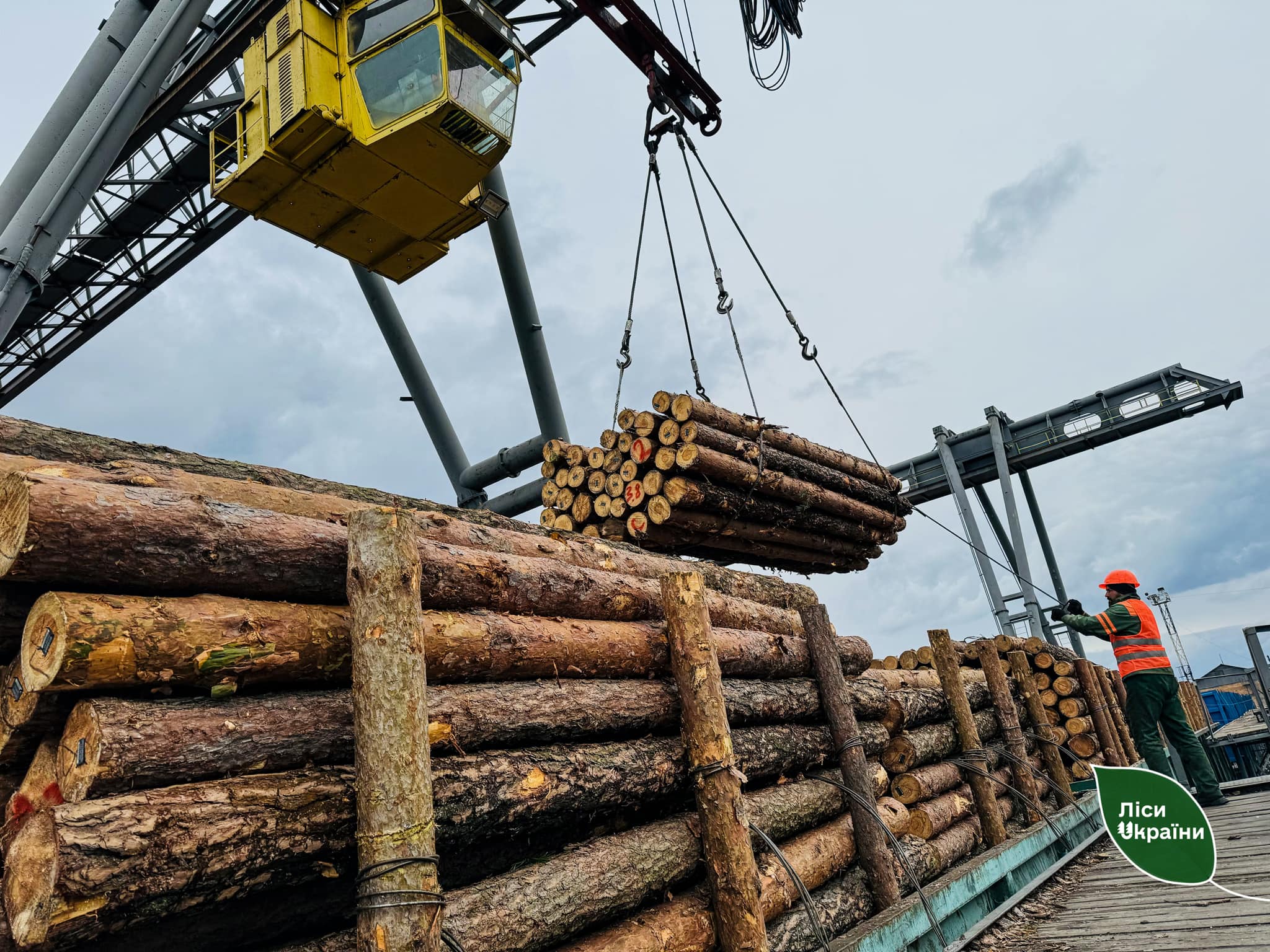 Transcarpathia: who is responsible for the decline in timber harvesting?