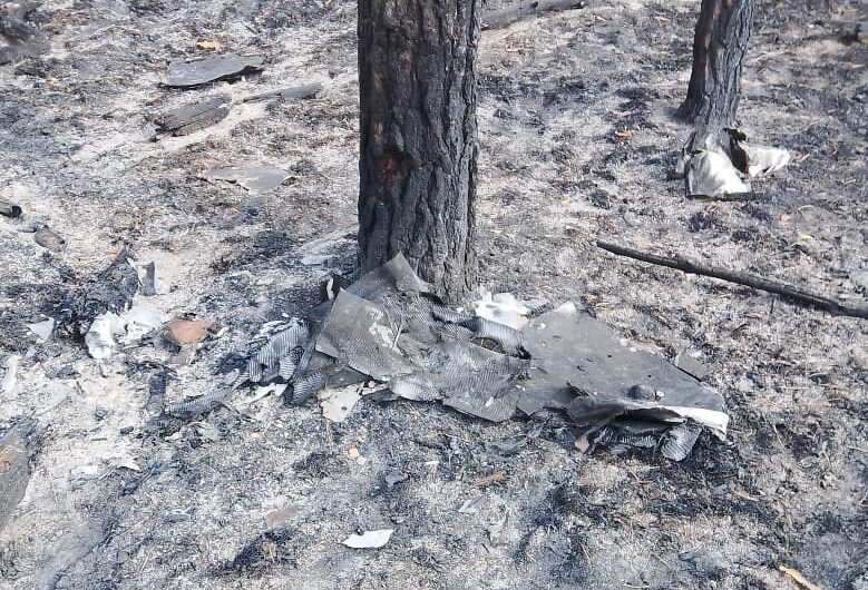 Fires erupt again in the forests of the “Stolychnyi Forest Office” branch due to enemy attacks
