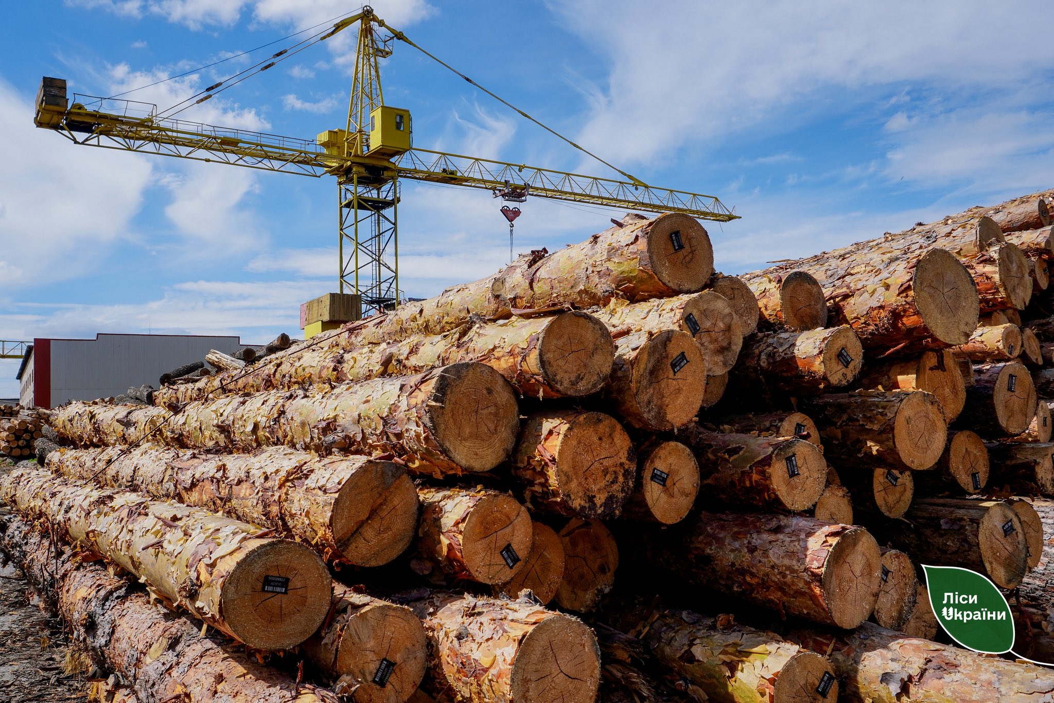 Record timber supplies for the Armed Forces of Ukraine!