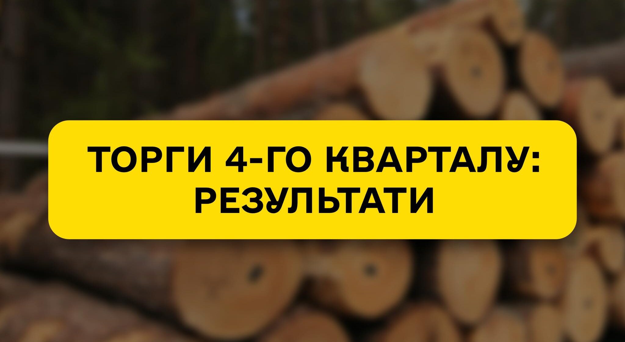 Main auctions of the 4th quarter: 99% of the offered volume of roundwood and firewood contracted