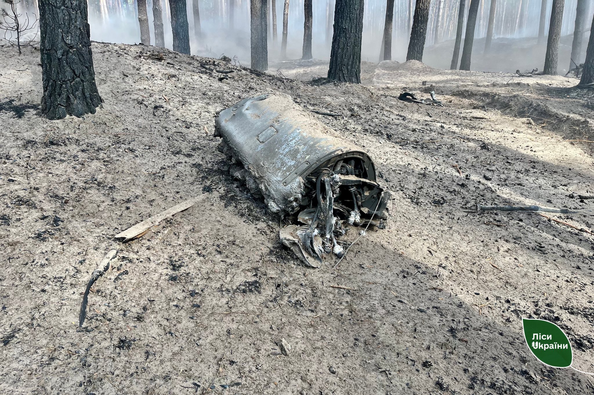 На Черкащині внаслідок російського обстрілу пошкоджено майже 6 га лісу!