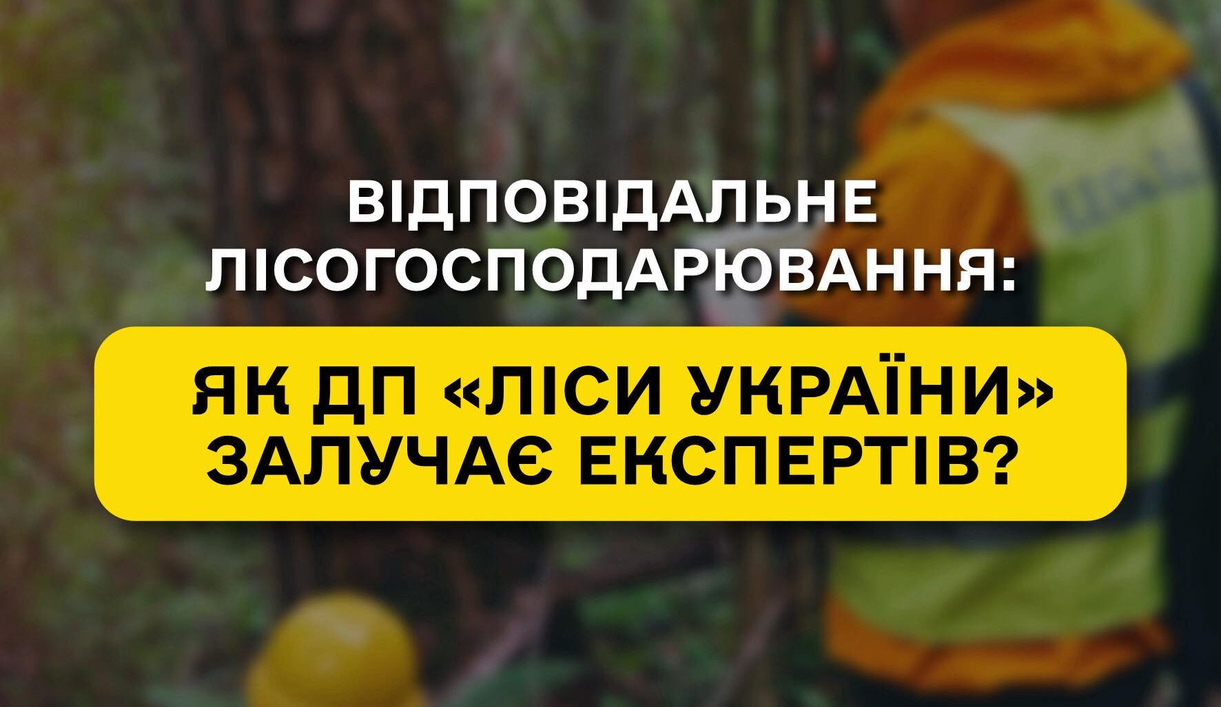 «Експертна та консультаційна підтримка відповідального лісогосподарювання»: ДП «Ліси України» долучилося до наукового-практичного семінару