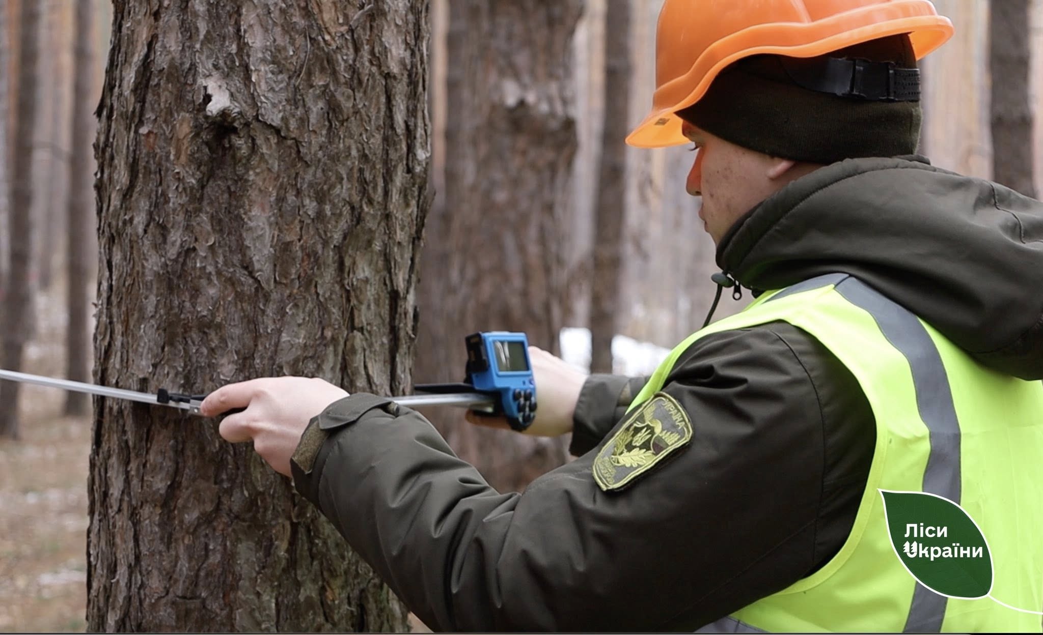 SFE “Forests of Ukraine” invests in modern equipment for forestry operations