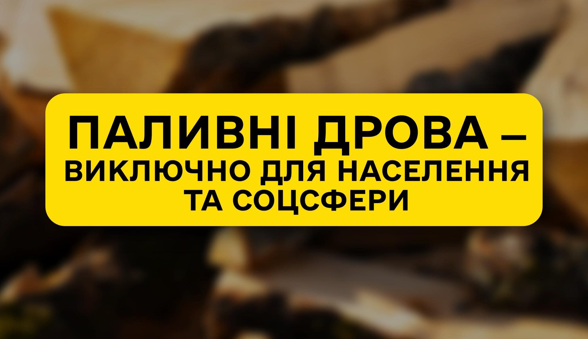 SFE “Forests of Ukraine” preparing for increased demand for firewood amid massive attacks on Ukraine’s energy infrastructure