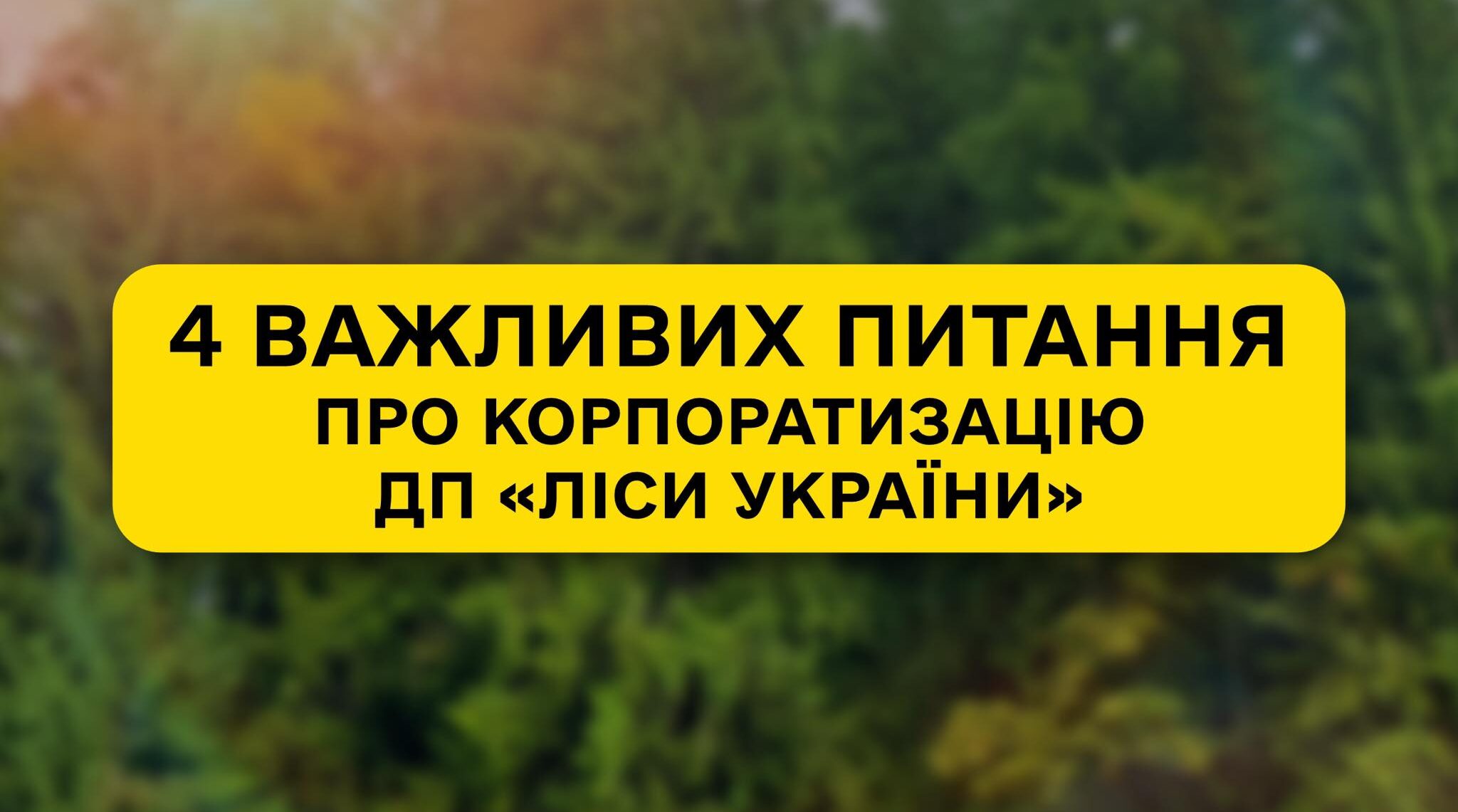 Last month marked the start of the corporatization of SFE “Forests of Ukraine”