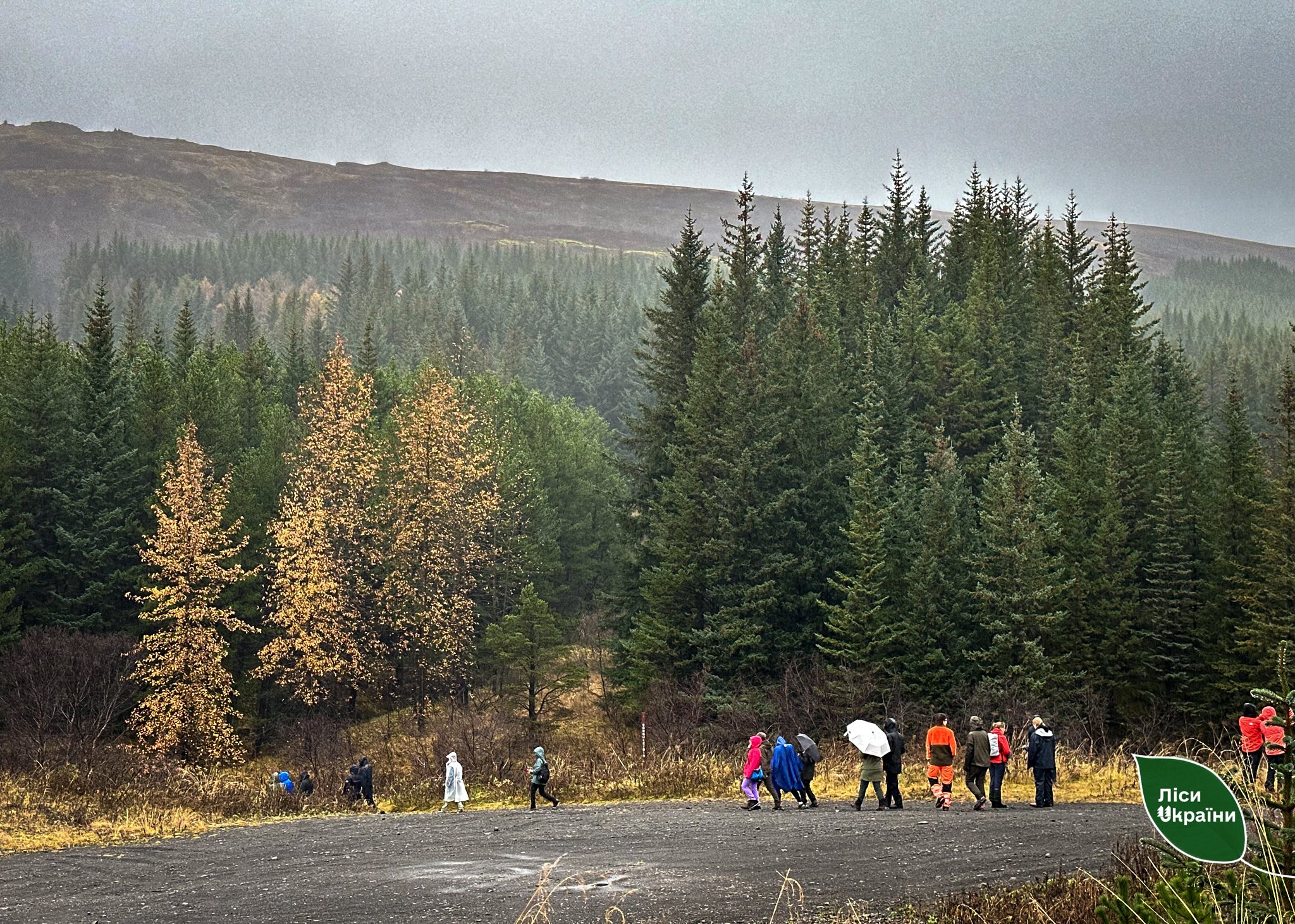 Exchange of Practices in Reykjavík: Representatives of SFE “Forests of Ukraine” participated in the international conference “Growing Together: Women, Forests, and a Sustainable Future”