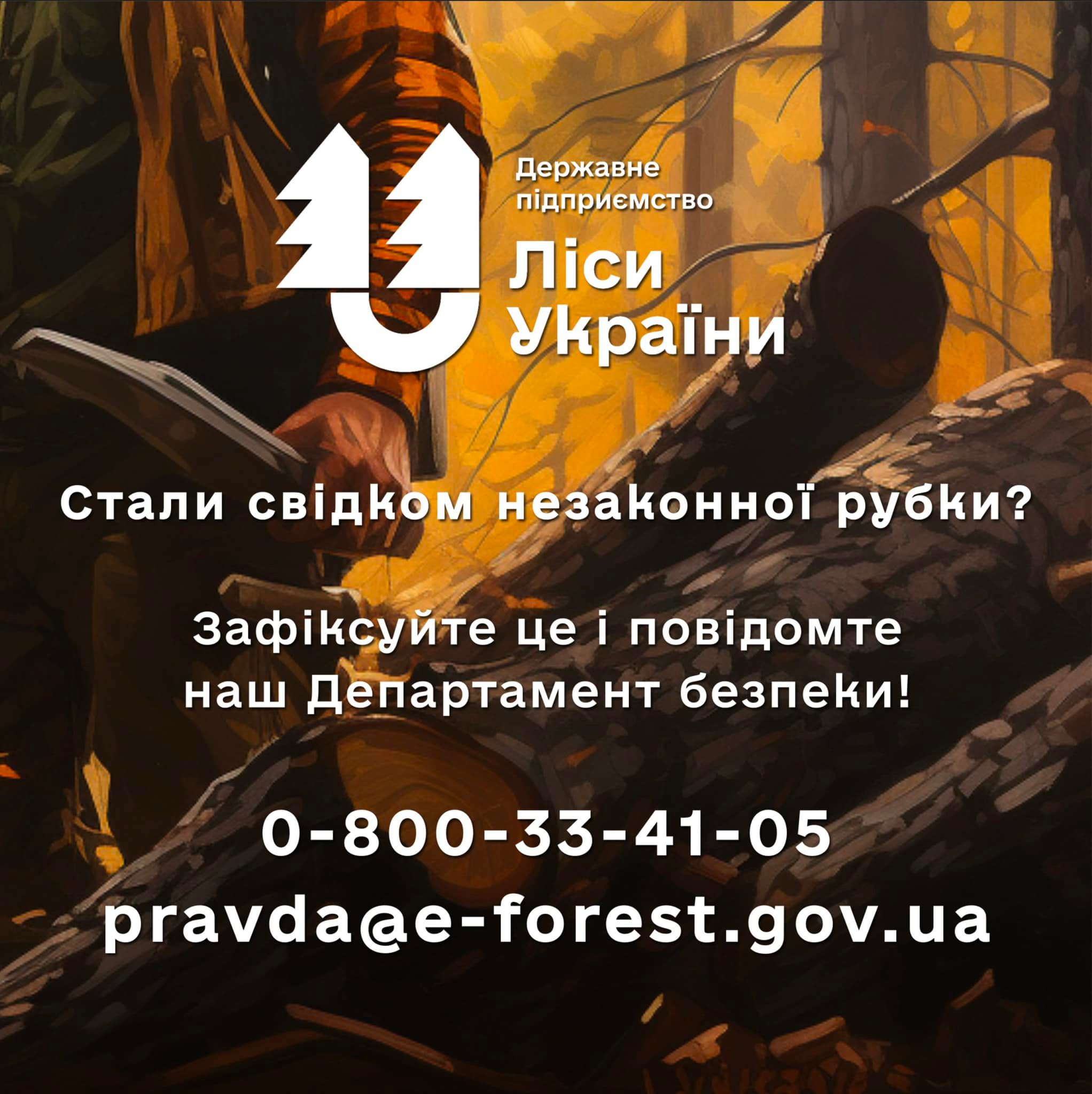Стали свідком незаконної рубки? Зафіксуйте це і повідомте наш Департамент безпеки!