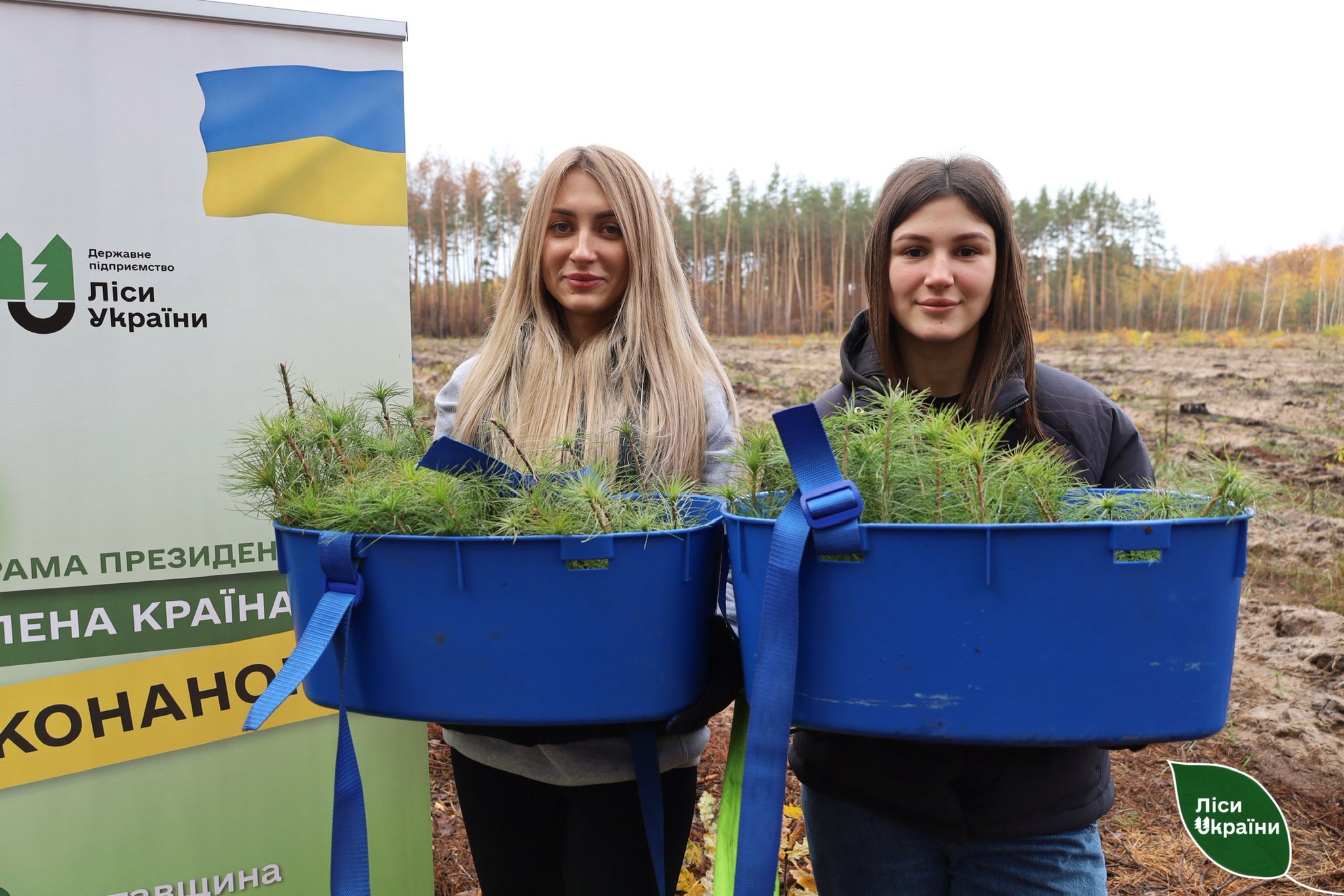На Полтавщині лісівники ДП «Ліси України» відновлюють ліс після пожеж