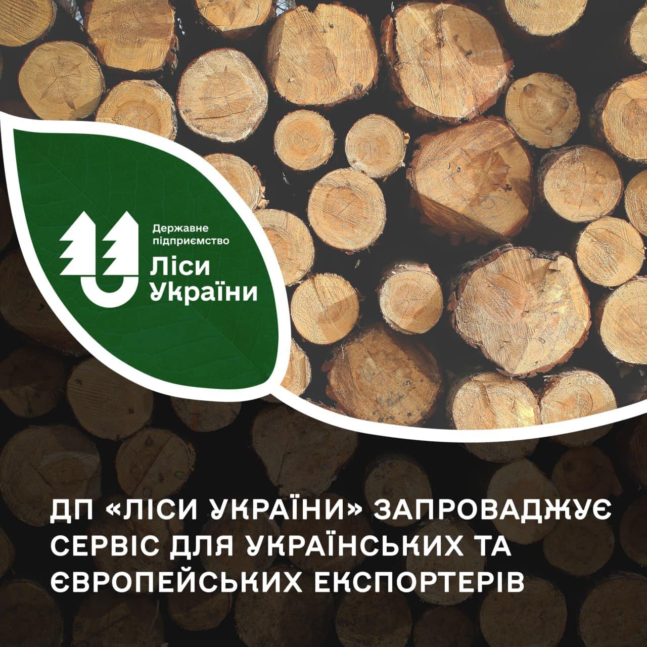 ДП «Ліси України» пропонує новий сервіс для українських та європейських експортерів
