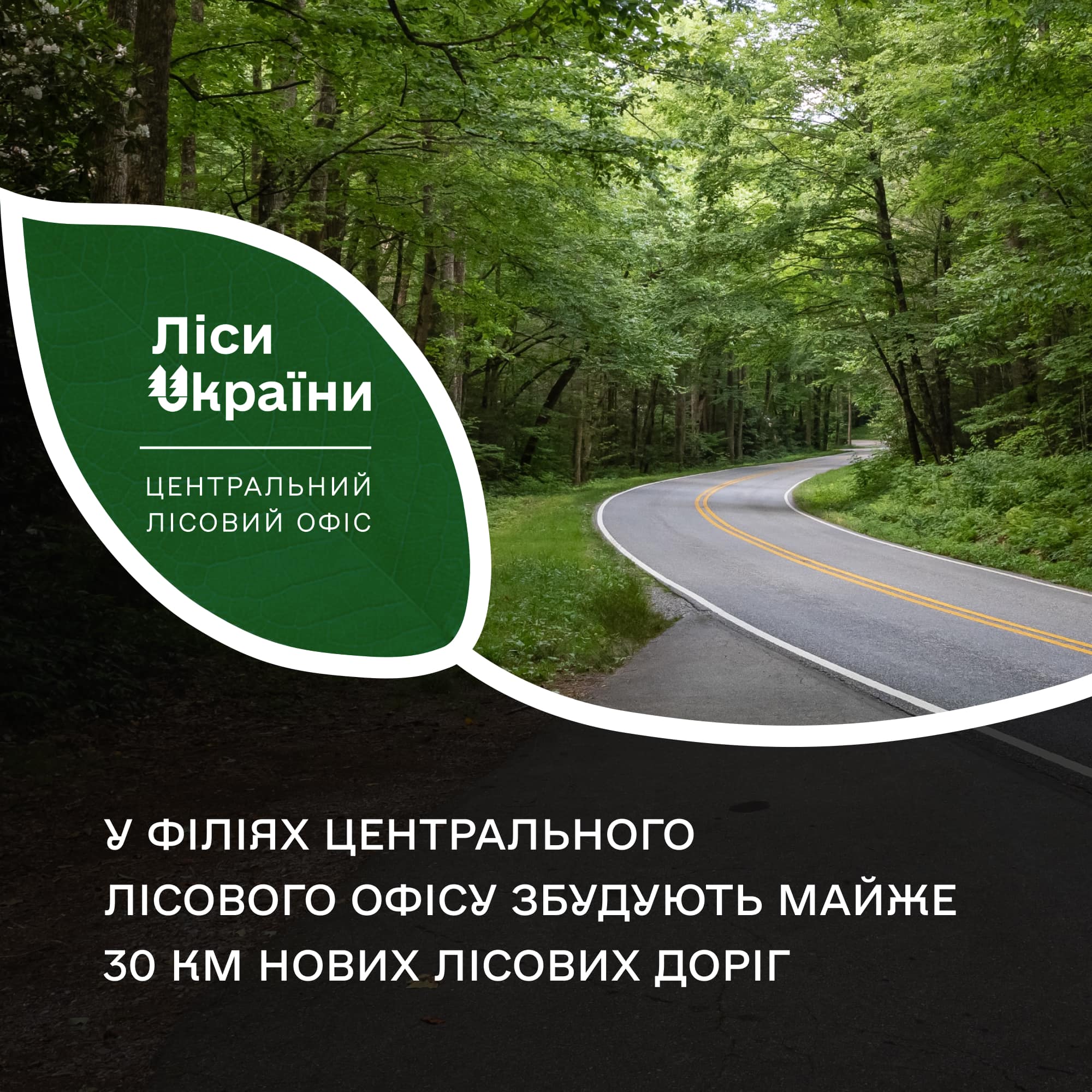 Цьогоріч у філіях Центрального лісового офісу буде збудовано майже 30 км нових лісових доріг