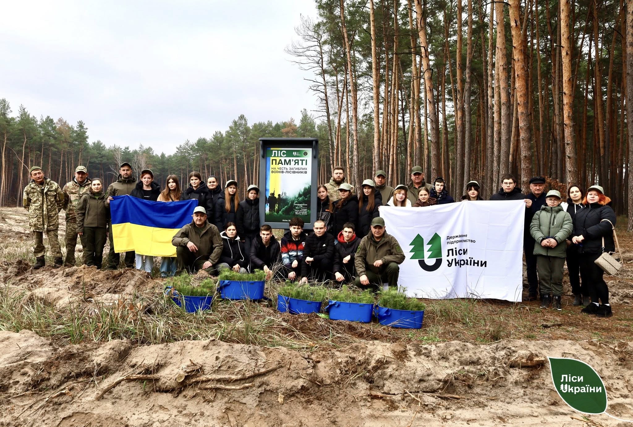 На Полтавщині висадили “Ліс пам’яті” на честь полеглих воїнів-лісівників ДП “Ліси України”