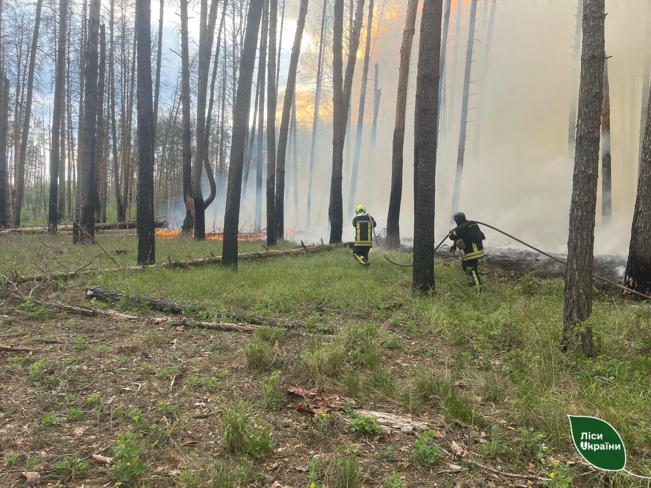 The area of forest fires in the Kharkiv region has decreased six and a half times!