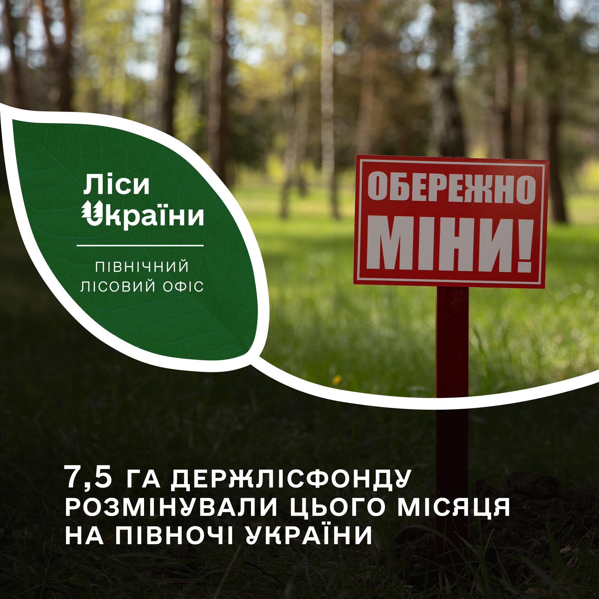 7,5 га держлісфонду розмінували цього місяця на півночі України