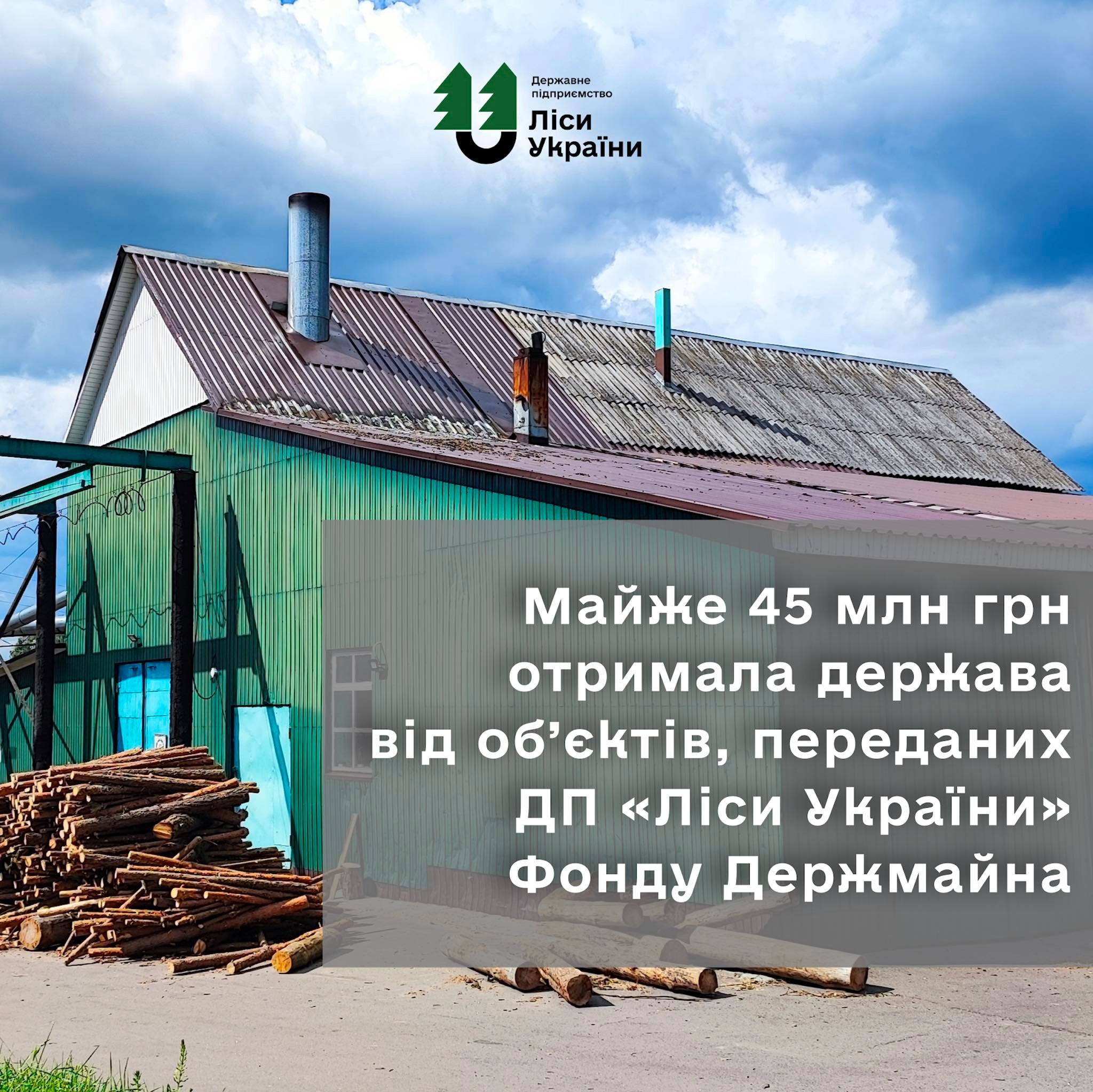 Майже 45 млн грн отримала держава від об’єктів, переданих ДП “Ліси України” у Фонд державного майна України