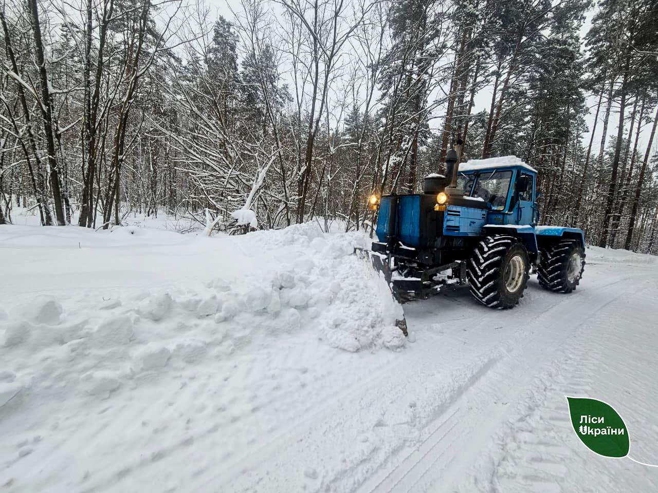 Попри сніг і морози більшість складів ДП «Ліси України» доступні для вивозу деревини великогабаритним транспортом
