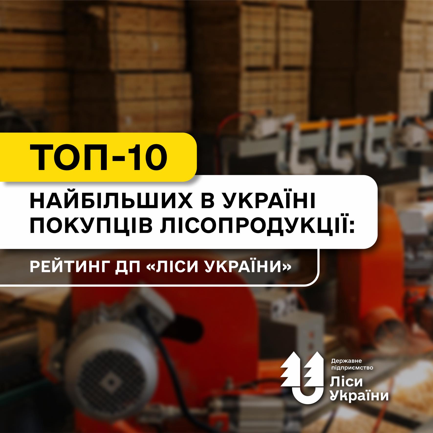 ТОП-10 найбільших в Україні покупців лісопродукції: рейтинг ДП «Ліси України»