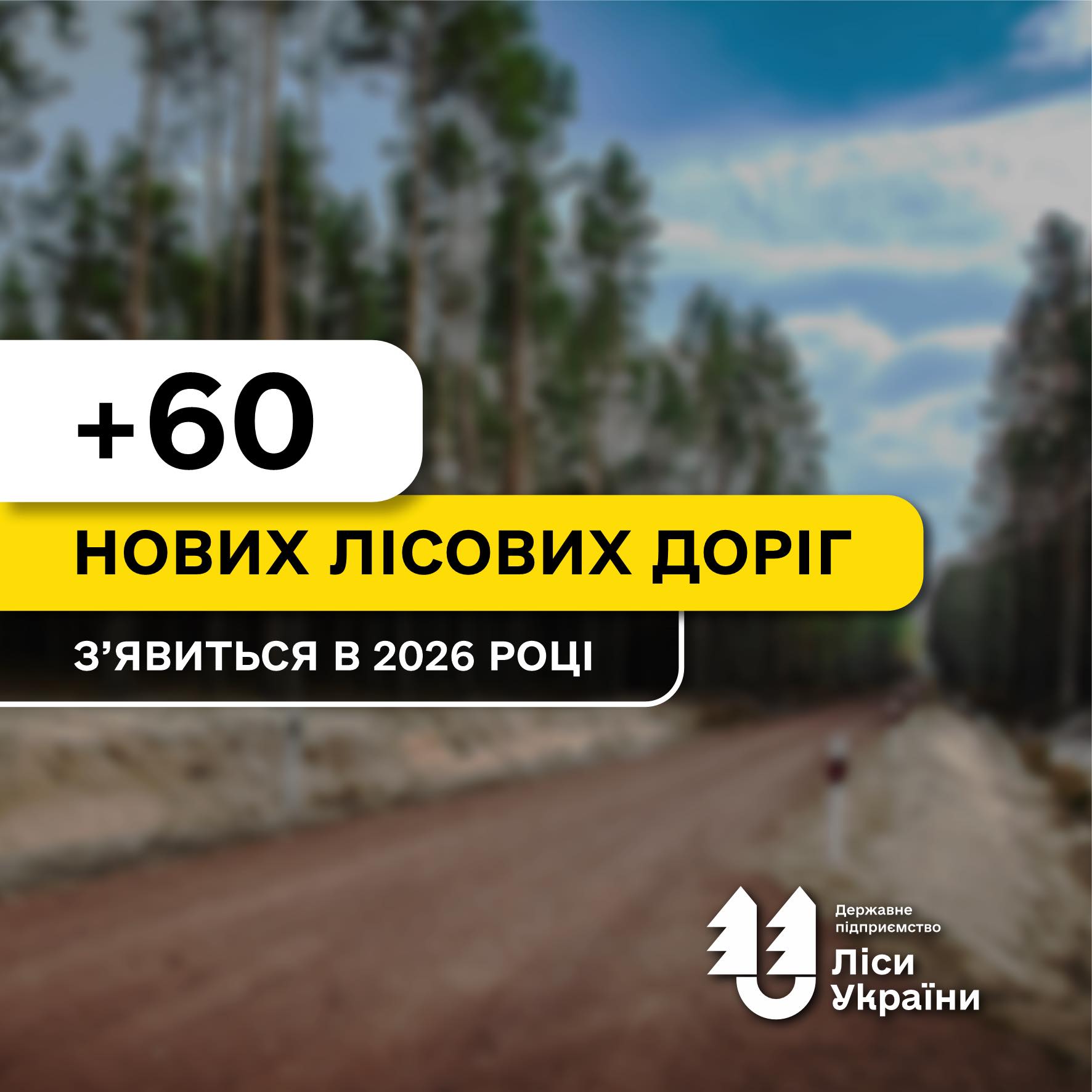 У цьому році в ДП “Ліси України” передбачено понад 60 об’єктів по будівництву лісових доріг!