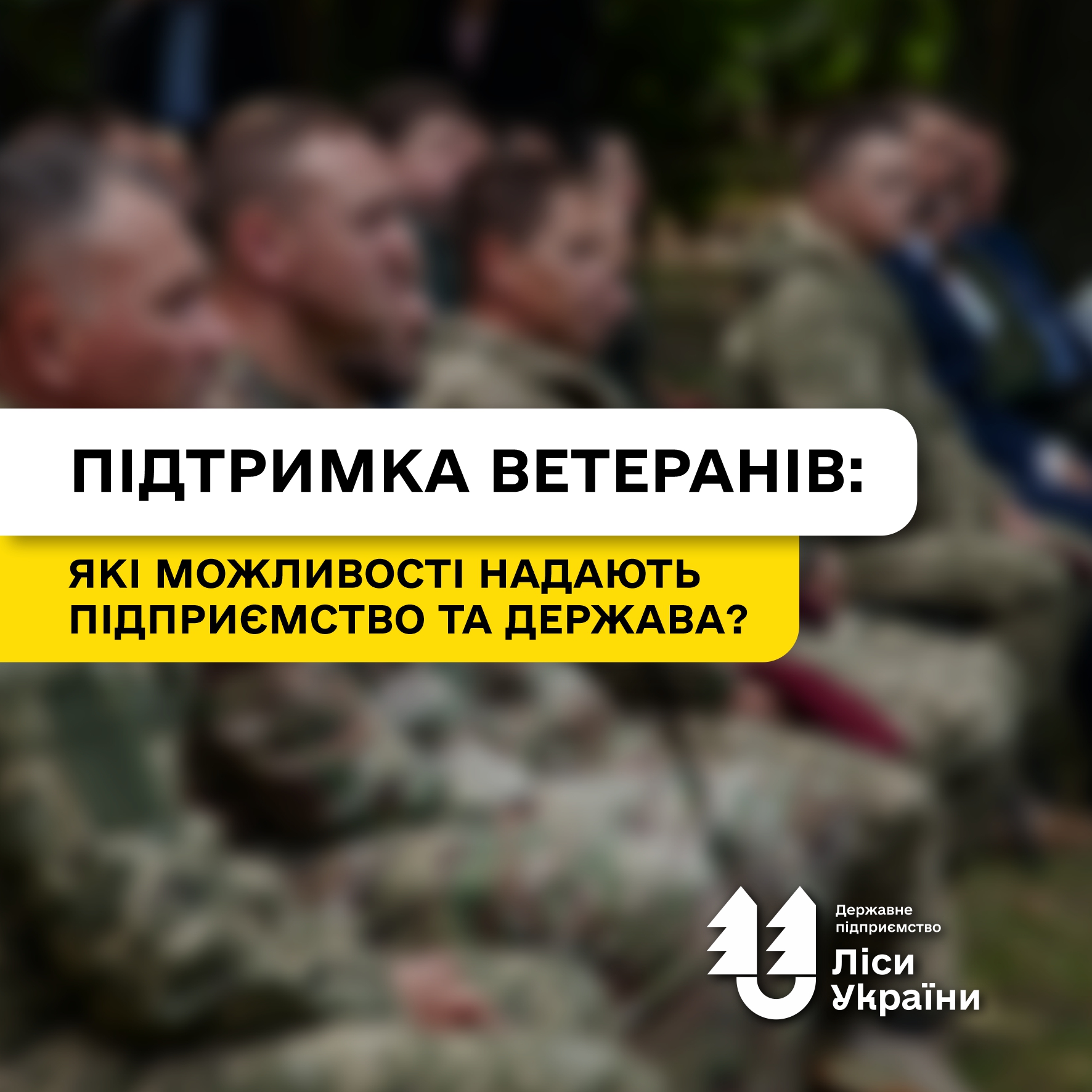 Повернення з фронту: які можливості пропонує ДП “Ліси України” та держава для ветеранів?