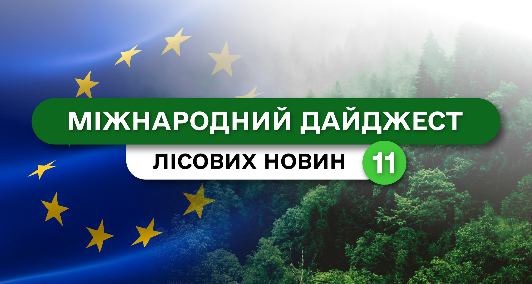 Міжнародний дайджест лісових новин. Випуск 11