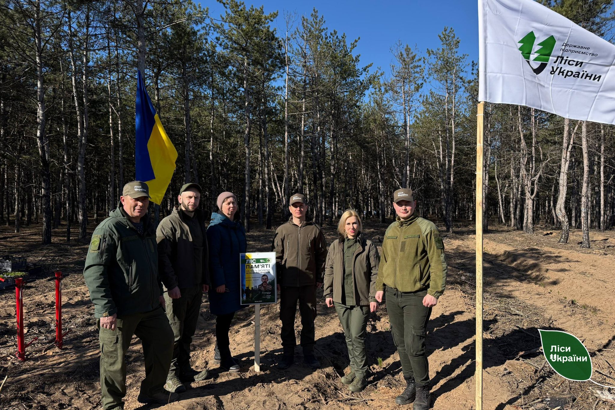 На Херсонщині вперше з початку повномасштабного вторгнення відроджують ліси