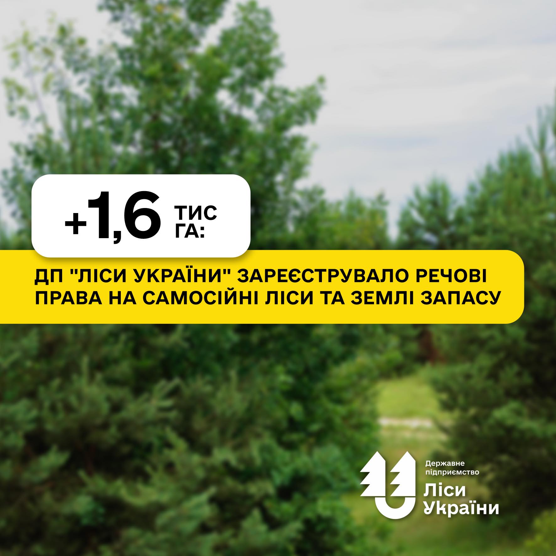 З початку року ДП “Ліси України” оформило речові права на земельні ділянки загальною площею 1,6 тис га