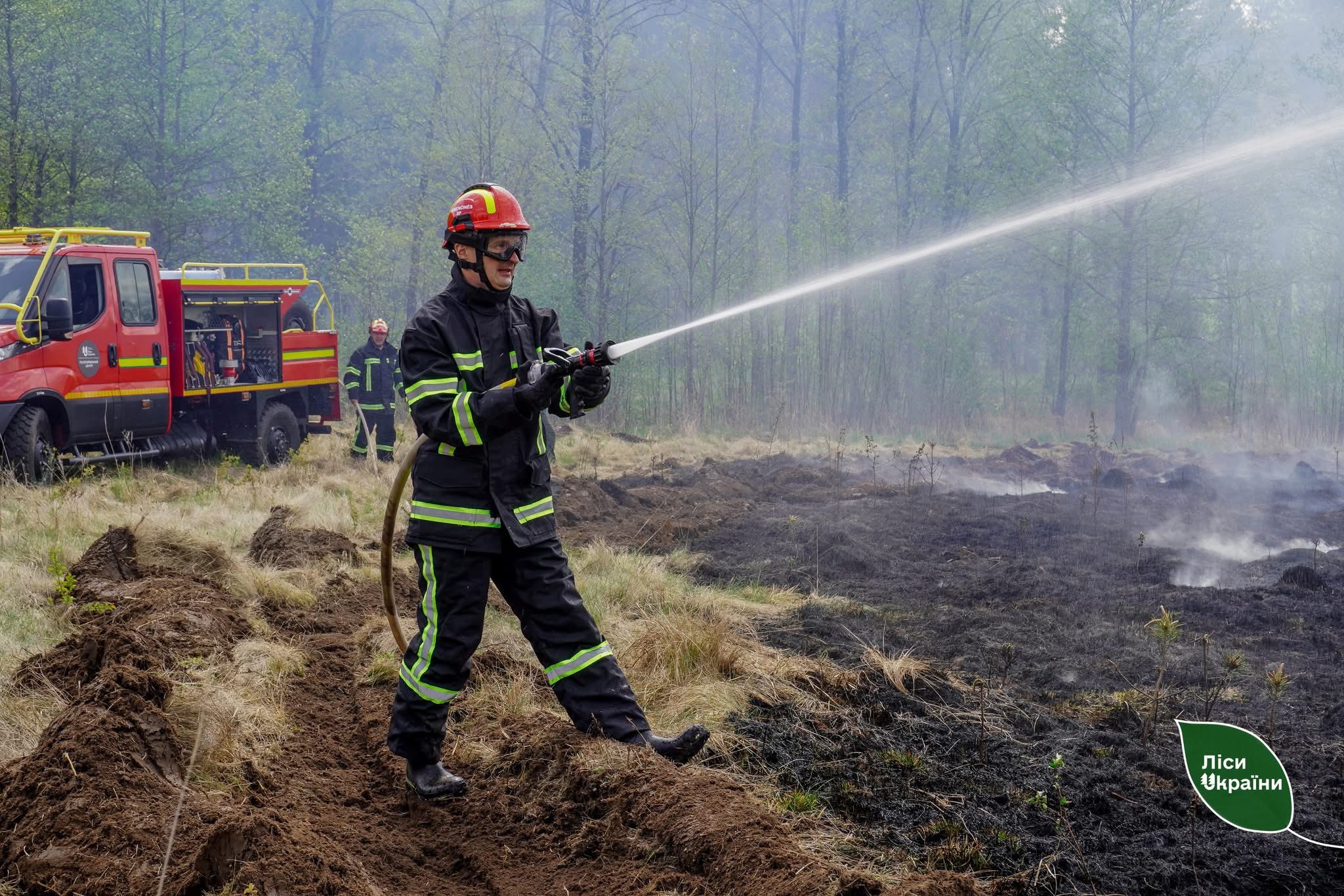 Підготовка лісових пожежних ДП “Ліси України”: понад дві тисячі працівників пройдуть навчання