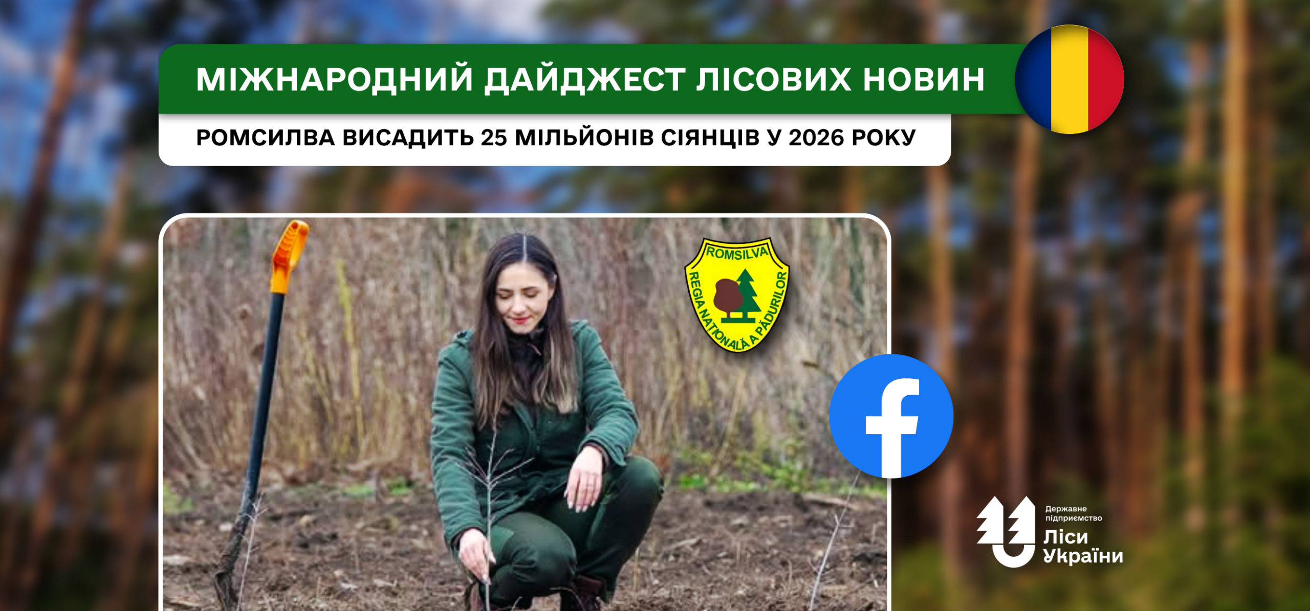 Ромсилва висадить 25 мільйонів сіянців у межах кампаній із заліснення 2026 року