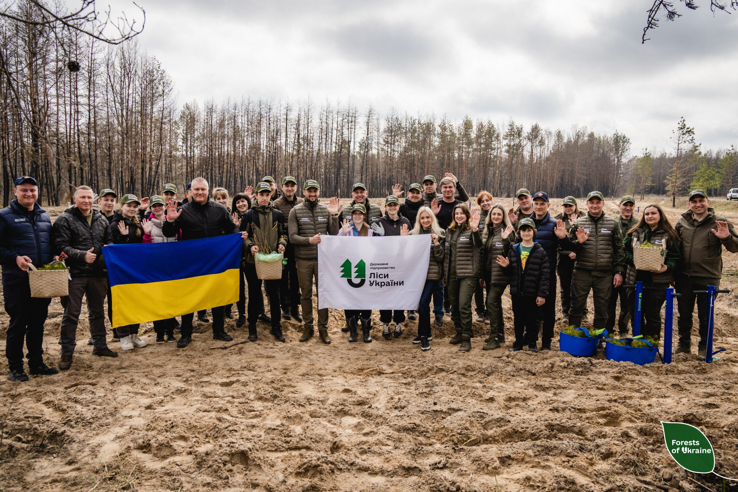 Forest restoration begins in Poltava region after the largest wildfire in the past five years