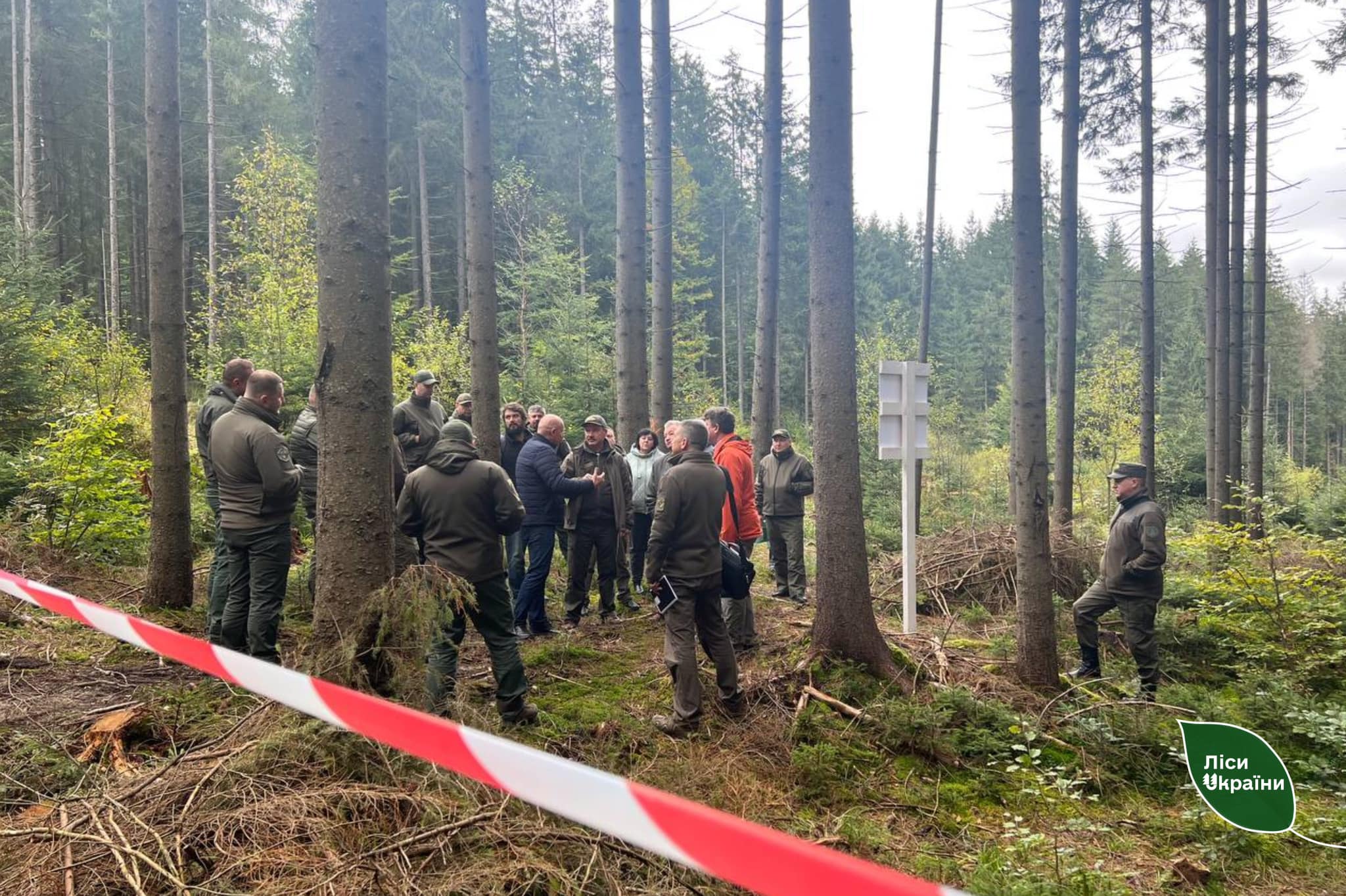 Обговорюємо найактуальніші проблеми лісів Карпатського регіону та шукаємо способи вирішення