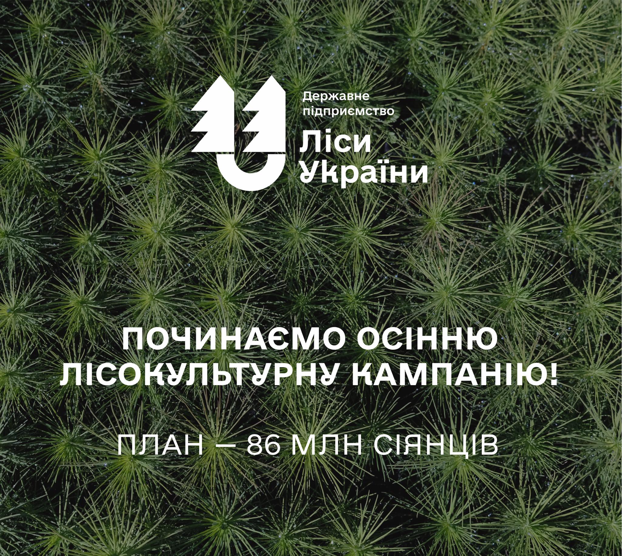 Починаємо осінню лісокультурну кампанію!