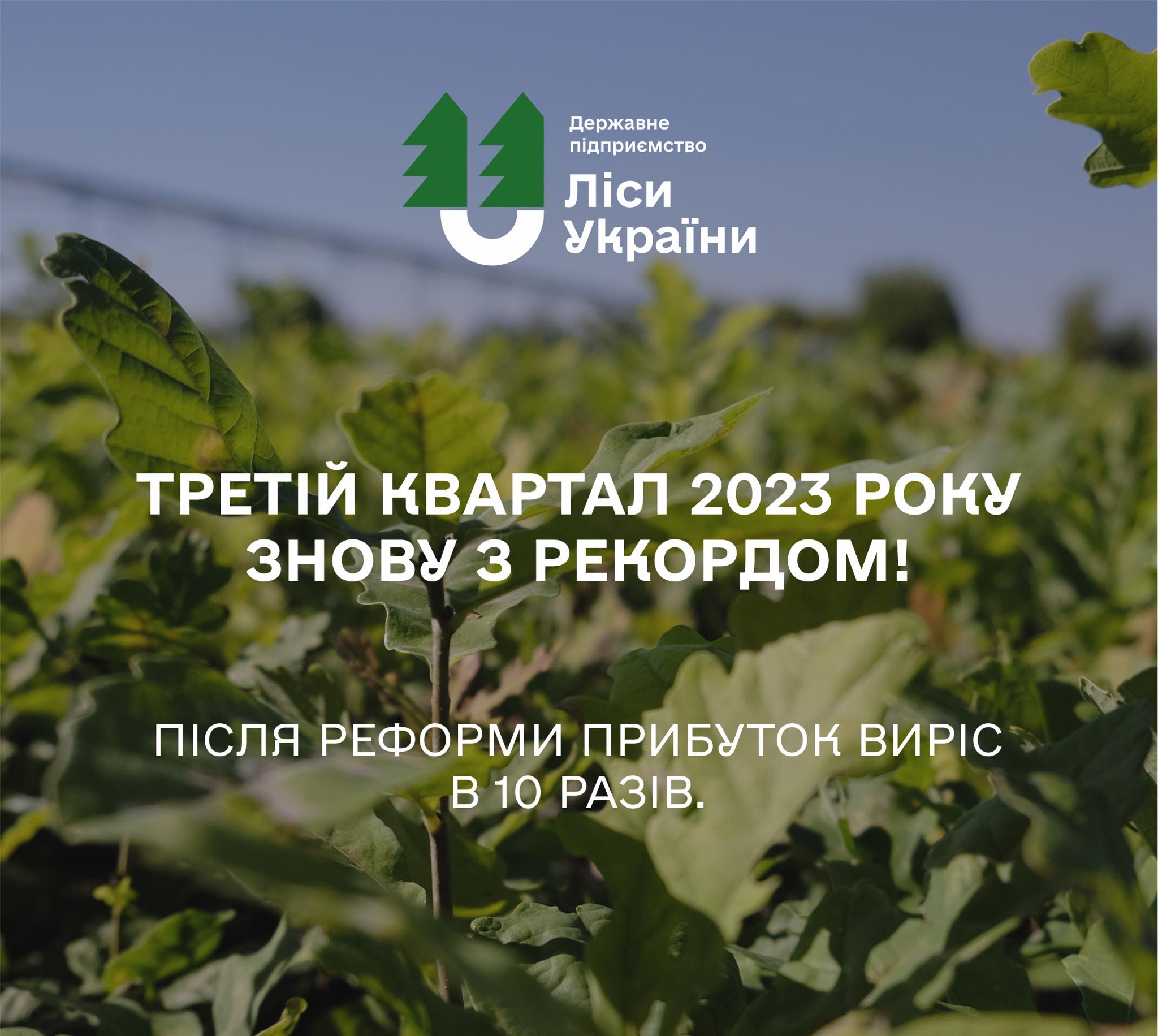 Третій квартал 2023 року знову з рекордом!
