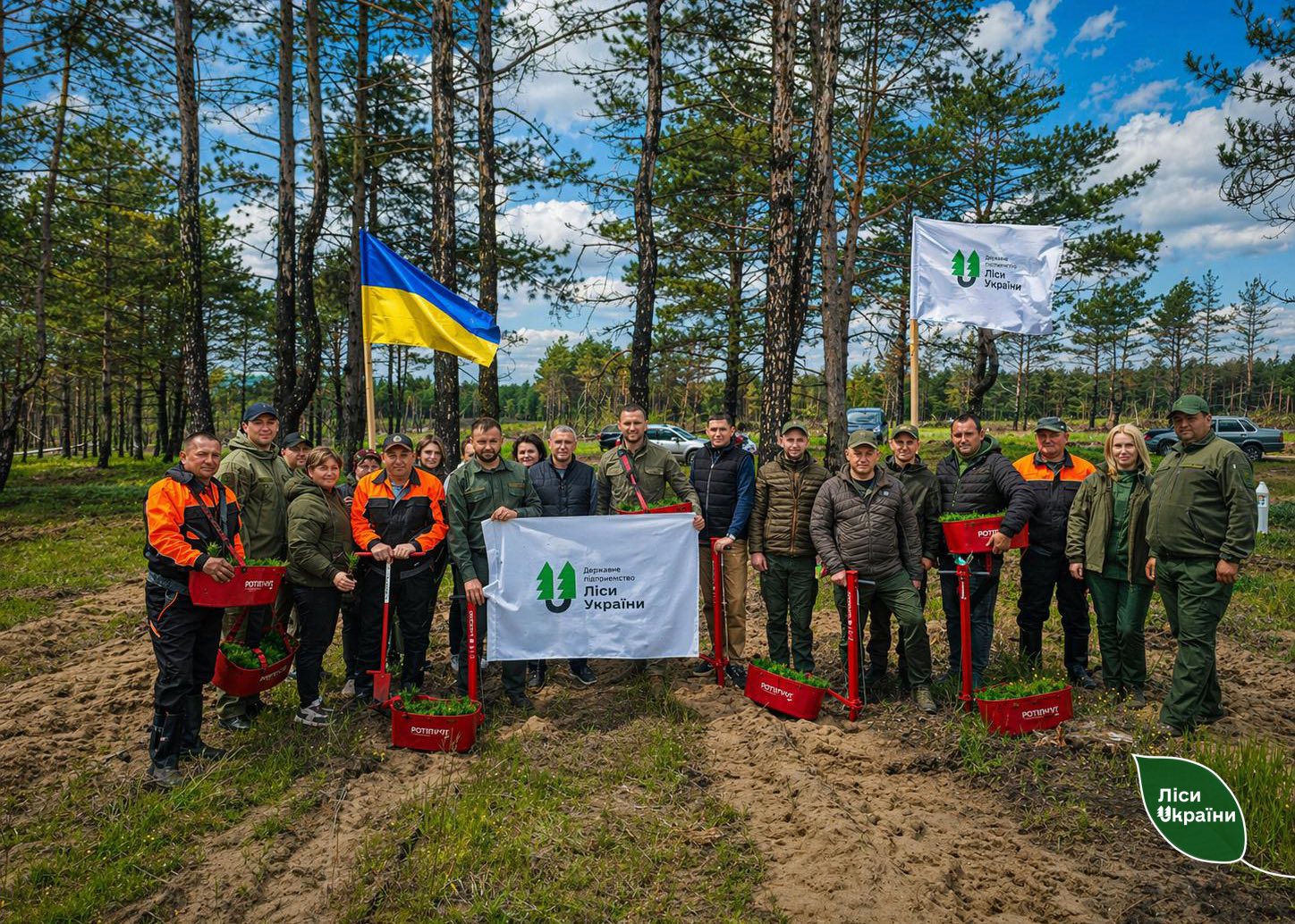 “На Миколаївщині та Херсонщині відновлюємо знищені війною ліси”, – керівник ДП “Ліси України” Юрій Болоховець